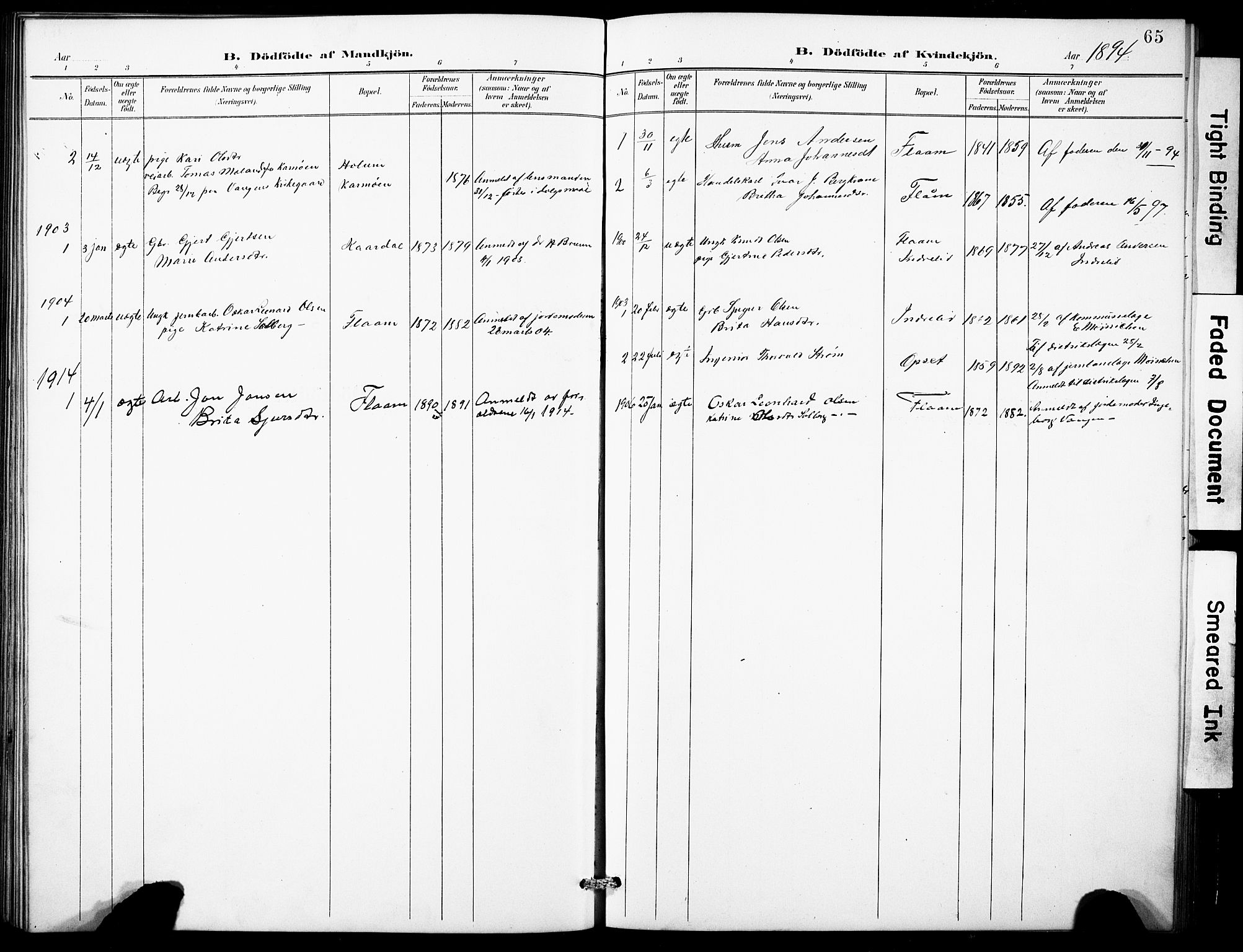 Aurland sokneprestembete, SAB/A-99937/H/Hb/Hbb/L0002: Parish register (copy) no. B 2, 1887-1929, p. 65