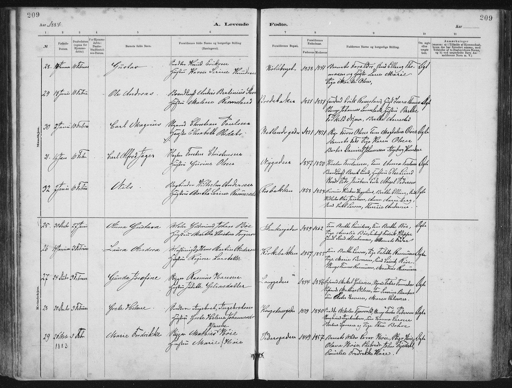 St. Petri sokneprestkontor, AV/SAST-A-101813/001/30/30BA/L0015: Parish register (official) no. A 15, 1879-1888, p. 209