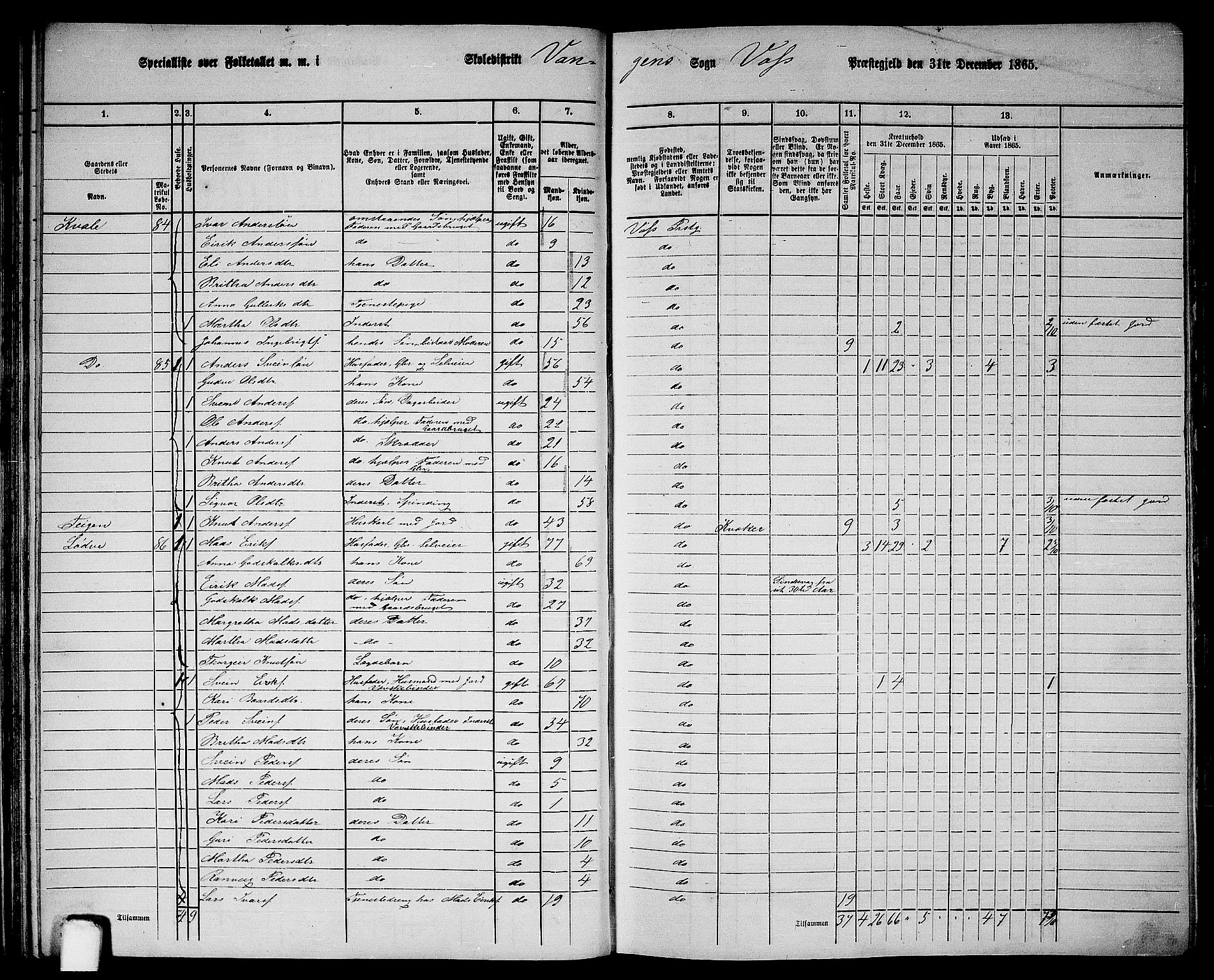 RA, 1865 census for Voss, 1865, p. 45