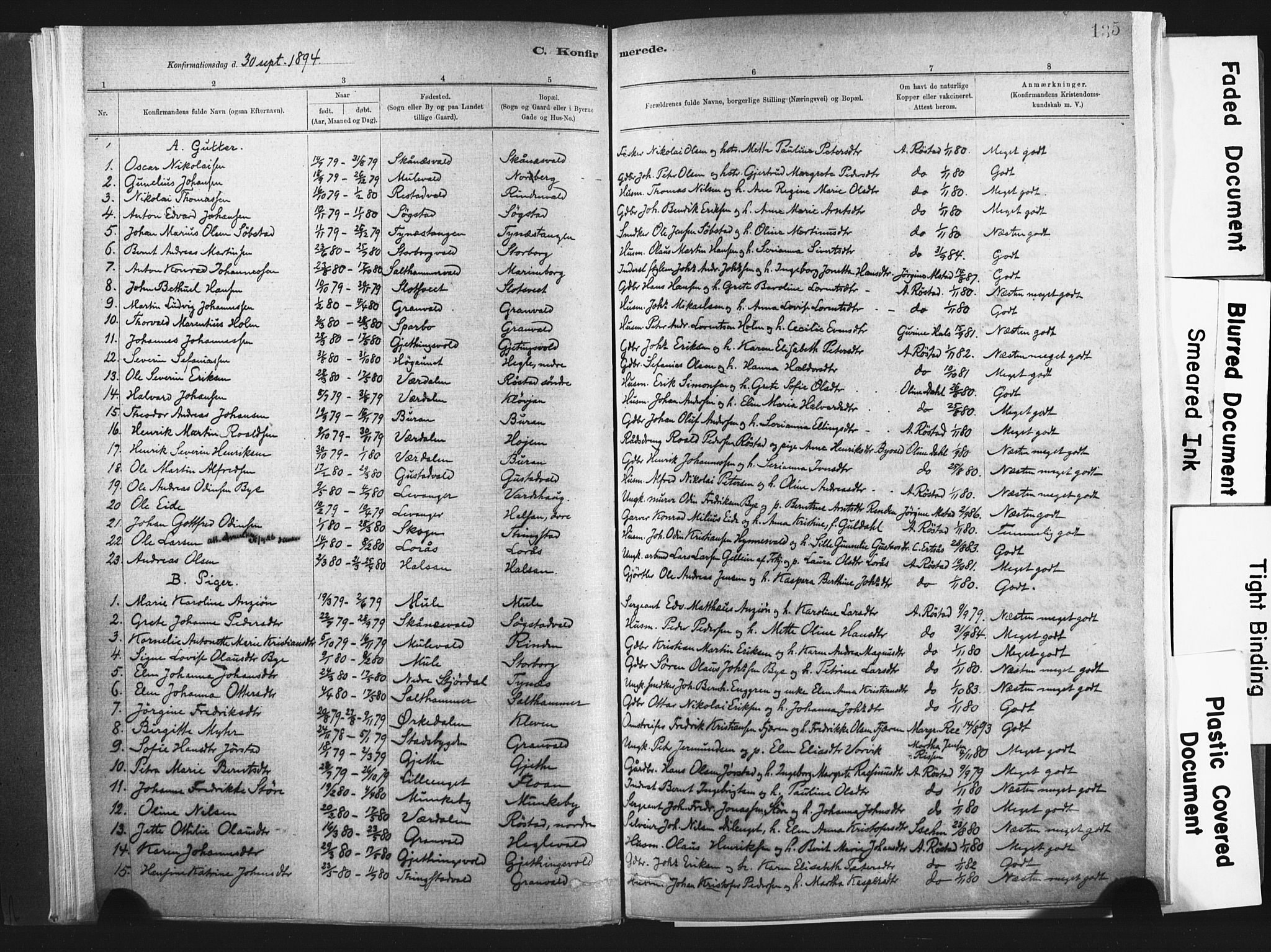 Ministerialprotokoller, klokkerbøker og fødselsregistre - Nord-Trøndelag, SAT/A-1458/721/L0207: Parish register (official) no. 721A02, 1880-1911, p. 135