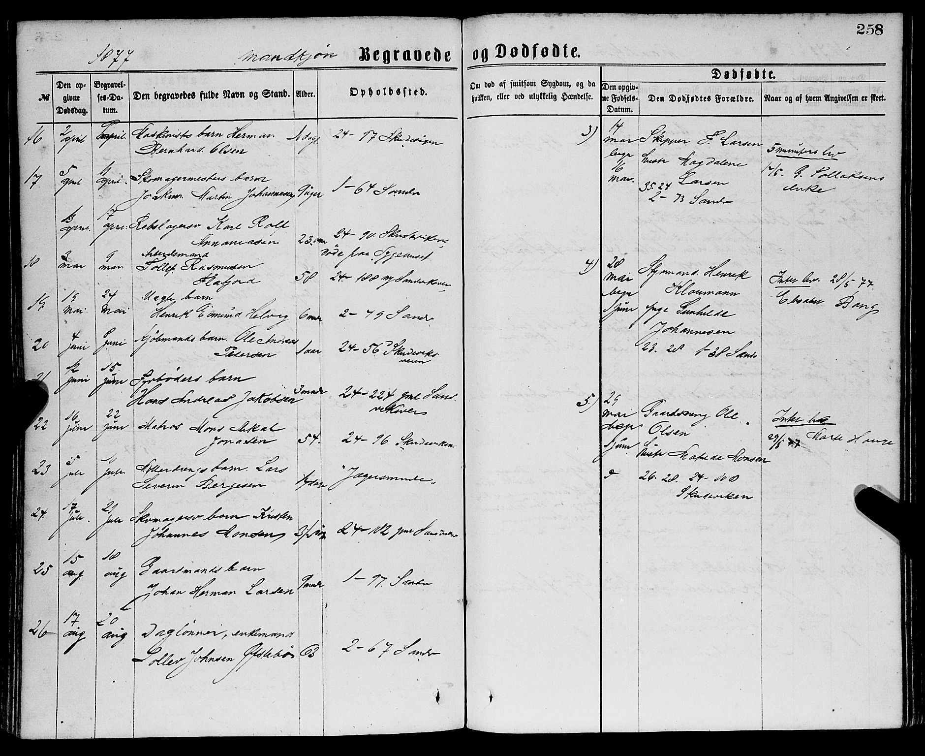 Sandviken Sokneprestembete, AV/SAB-A-77601/H/Ha/L0001: Parish register (official) no. A 1, 1867-1877, p. 258