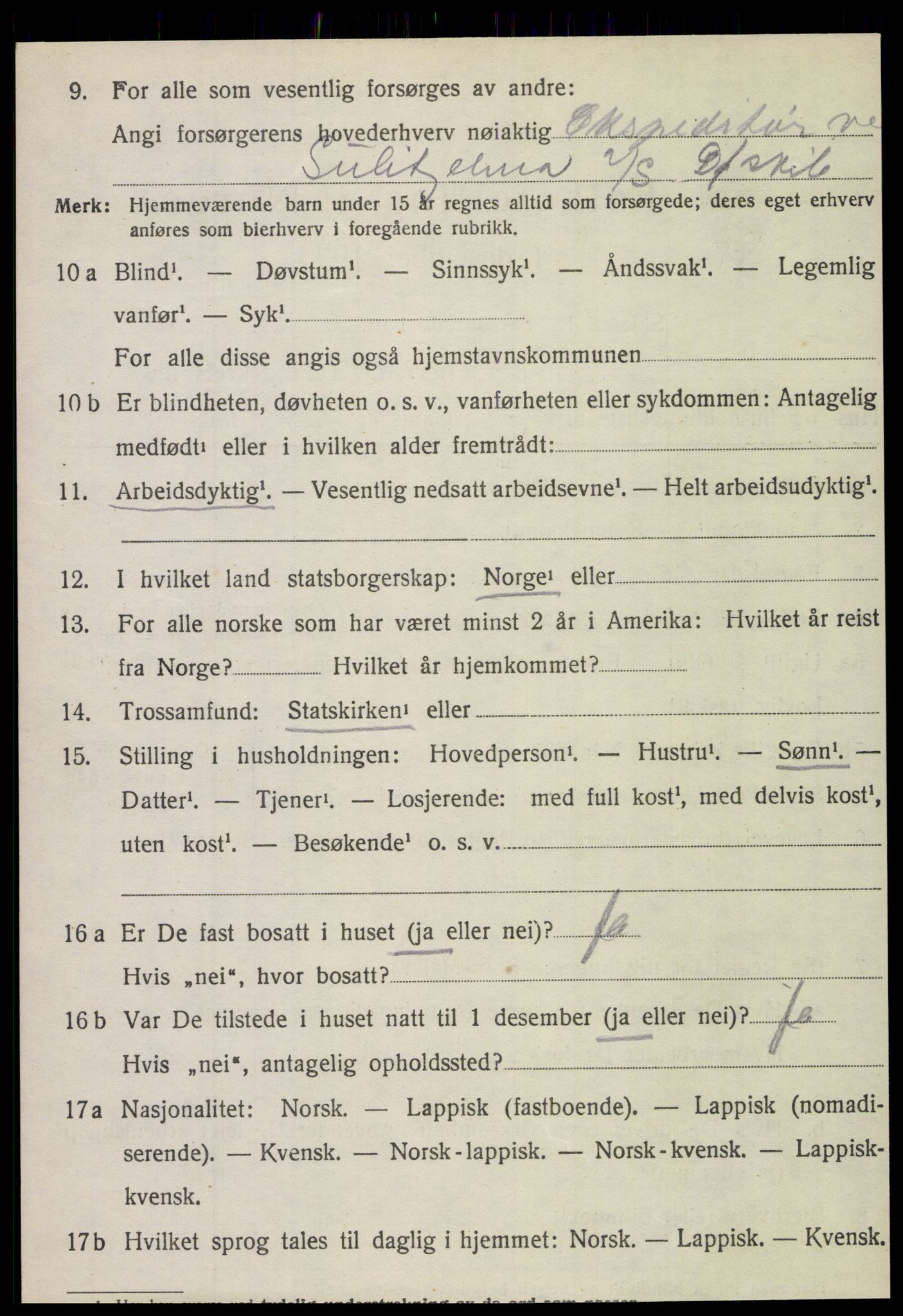 SAT, 1920 census for Fauske, 1920, p. 10091