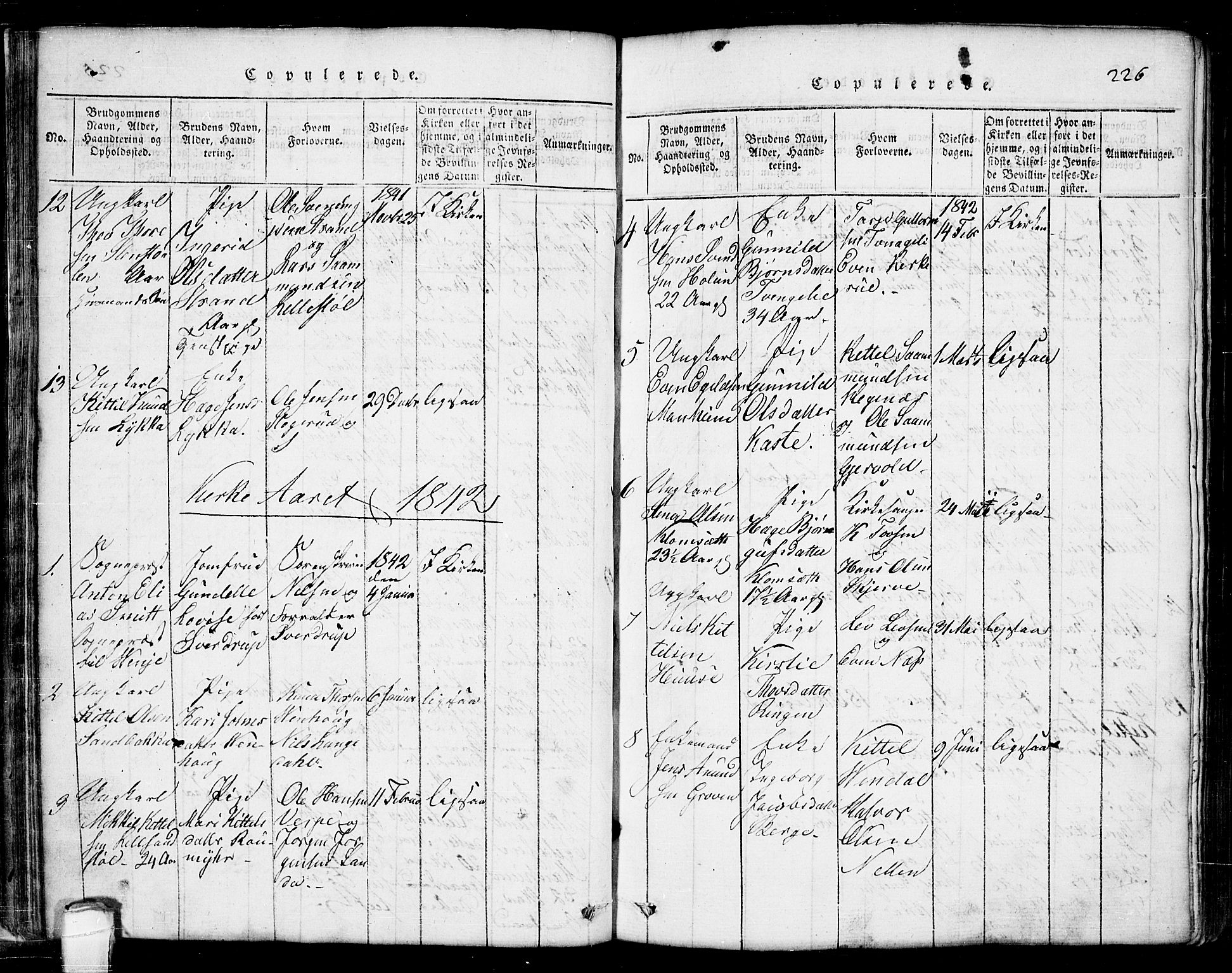 Seljord kirkebøker, SAKO/A-20/G/Ga/L0001: Parish register (copy) no. I 1, 1815-1854, p. 226