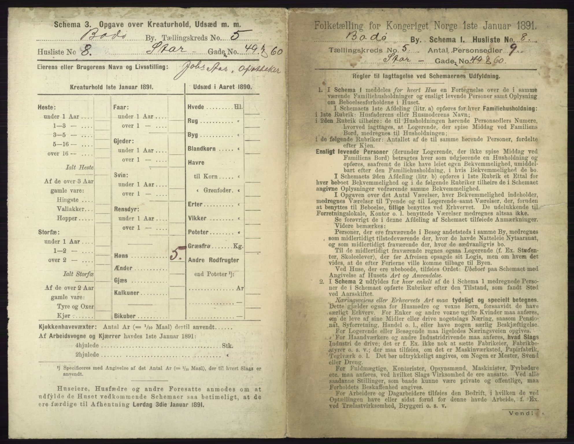 RA, 1891 census for 1804 Bodø, 1891, p. 3817