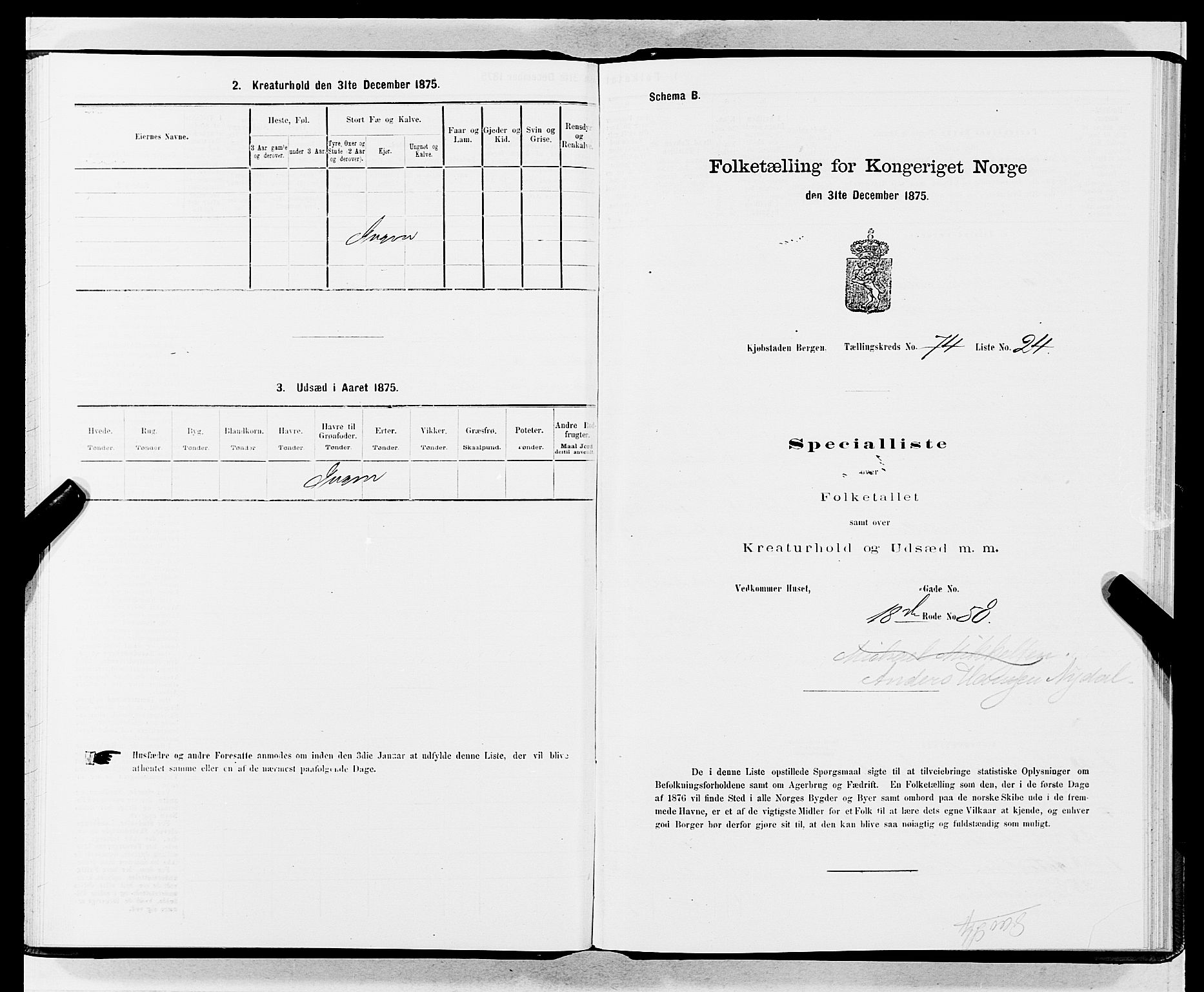 SAB, 1875 census for 1301 Bergen, 1875, p. 4003