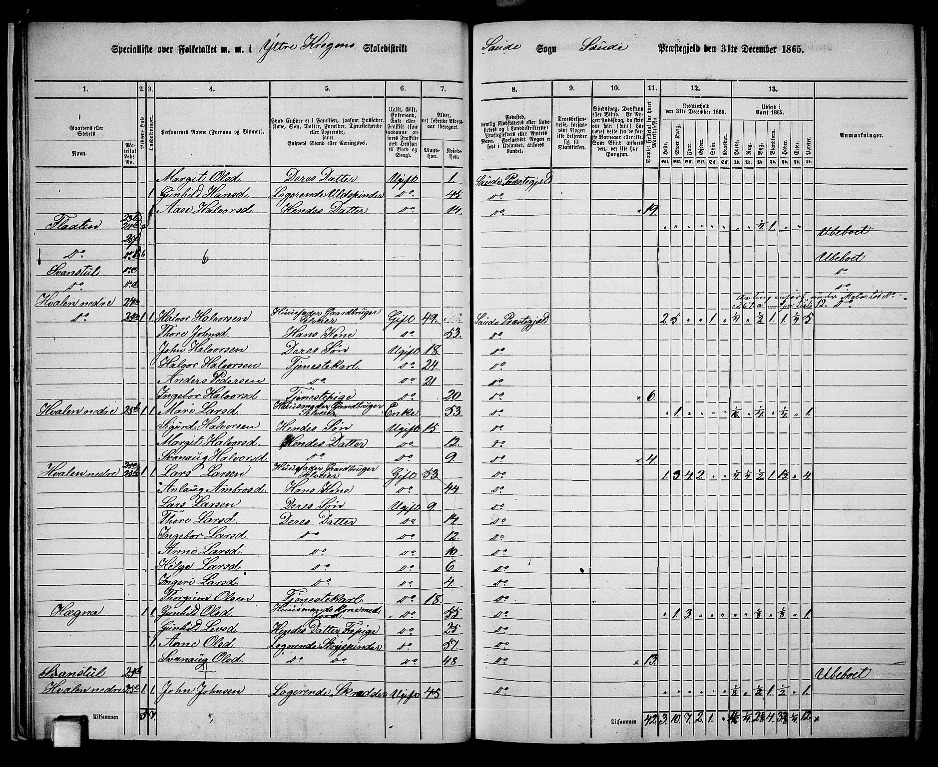 RA, 1865 census for Sauherad, 1865, p. 22