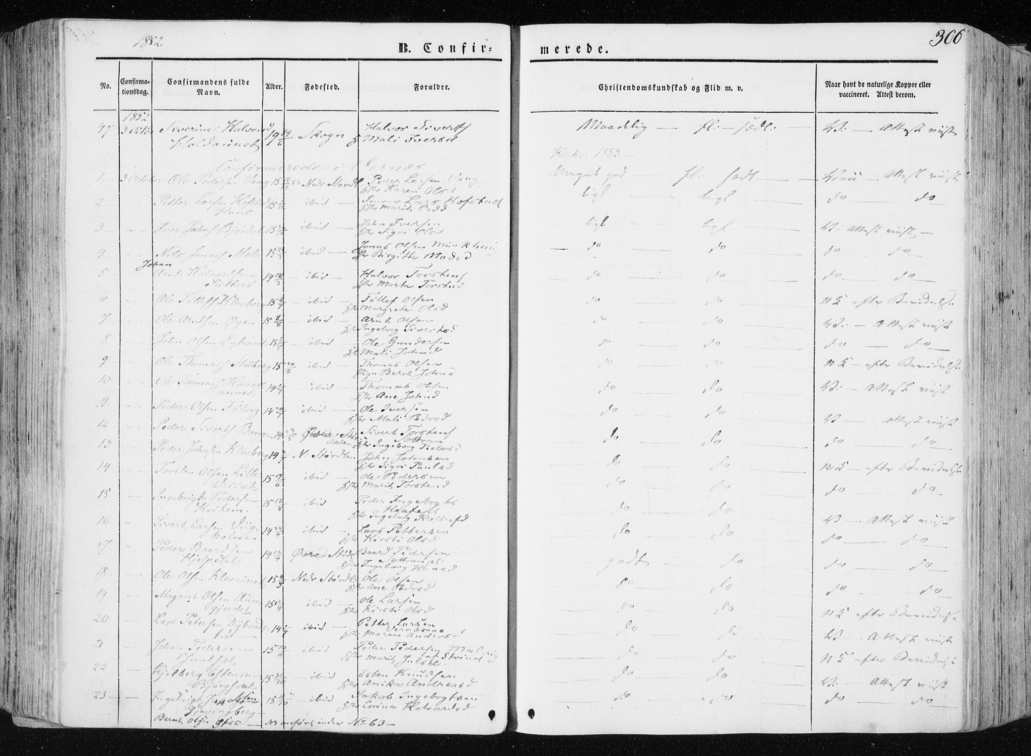 Ministerialprotokoller, klokkerbøker og fødselsregistre - Nord-Trøndelag, AV/SAT-A-1458/709/L0074: Parish register (official) no. 709A14, 1845-1858, p. 306