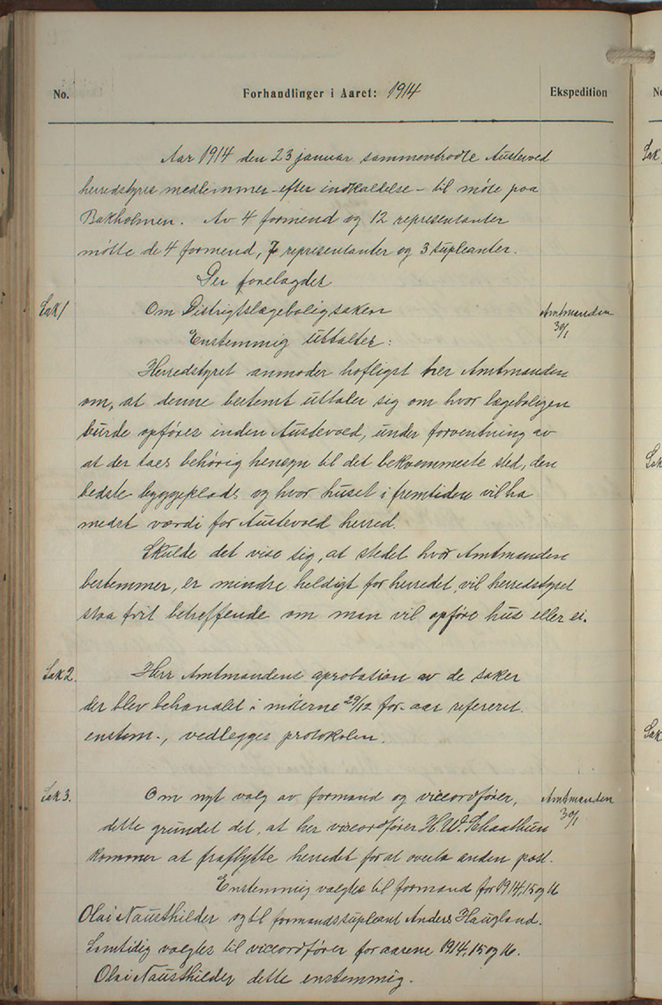 Austevoll kommune. Formannskapet, IKAH/1244-021/A/Aa/L0002b: Møtebok for heradstyret, 1910-1919, p. 144