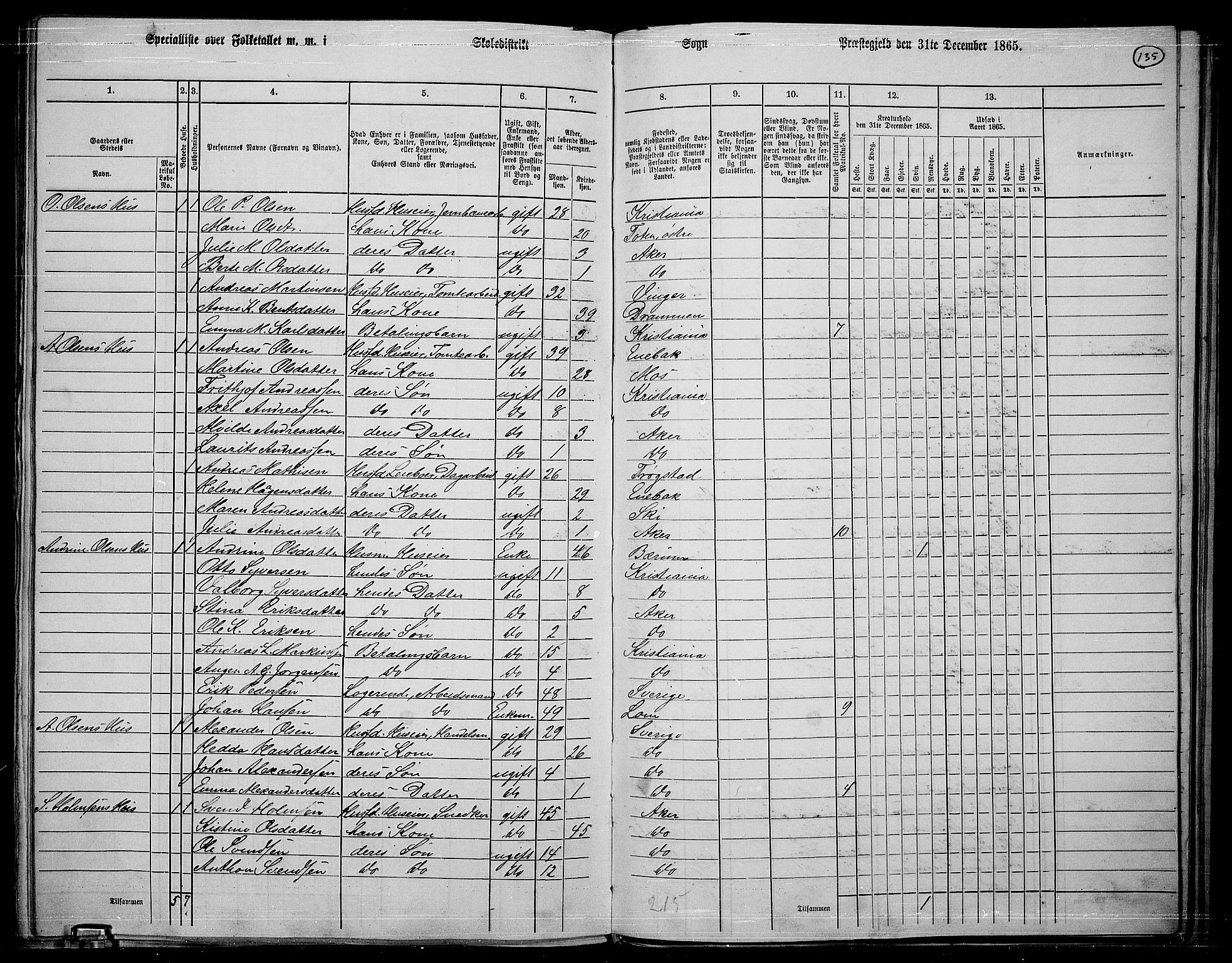 RA, 1865 census for Østre Aker, 1865, p. 356