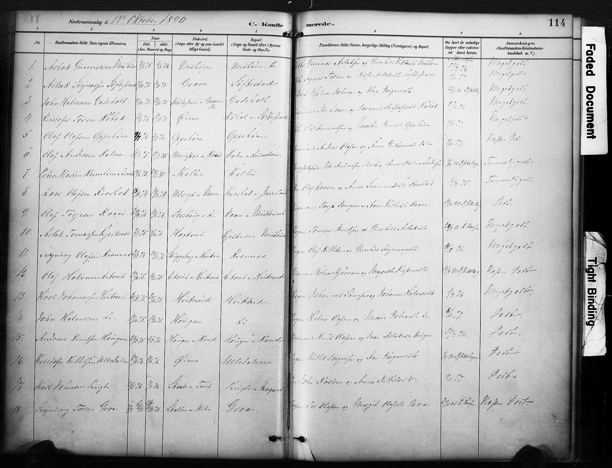 Kviteseid kirkebøker, SAKO/A-276/F/Fa/L0008: Parish register (official) no. I 8, 1882-1903, p. 114