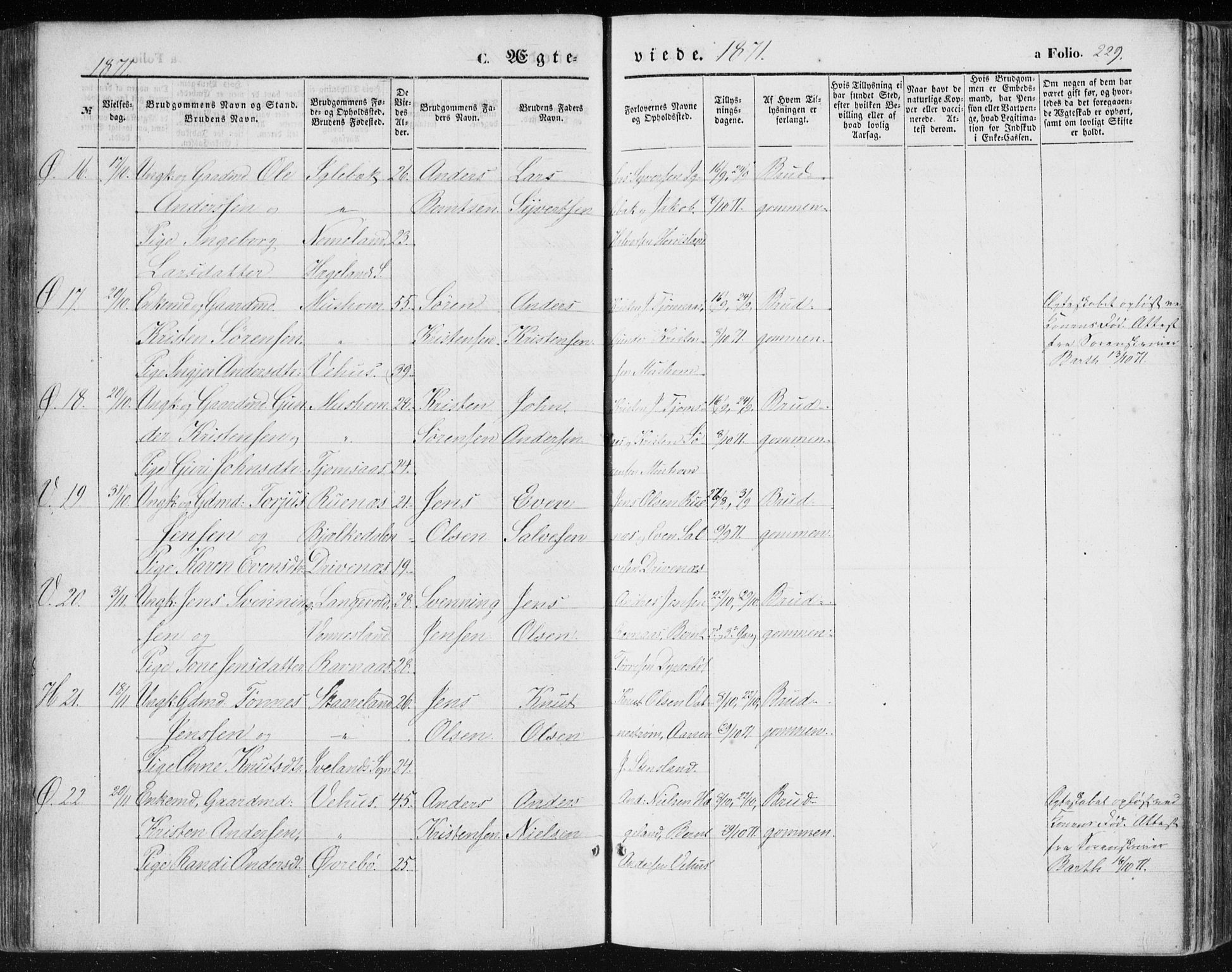 Vennesla sokneprestkontor, SAK/1111-0045/Fa/Fac/L0007: Parish register (official) no. A 7, 1855-1873, p. 229