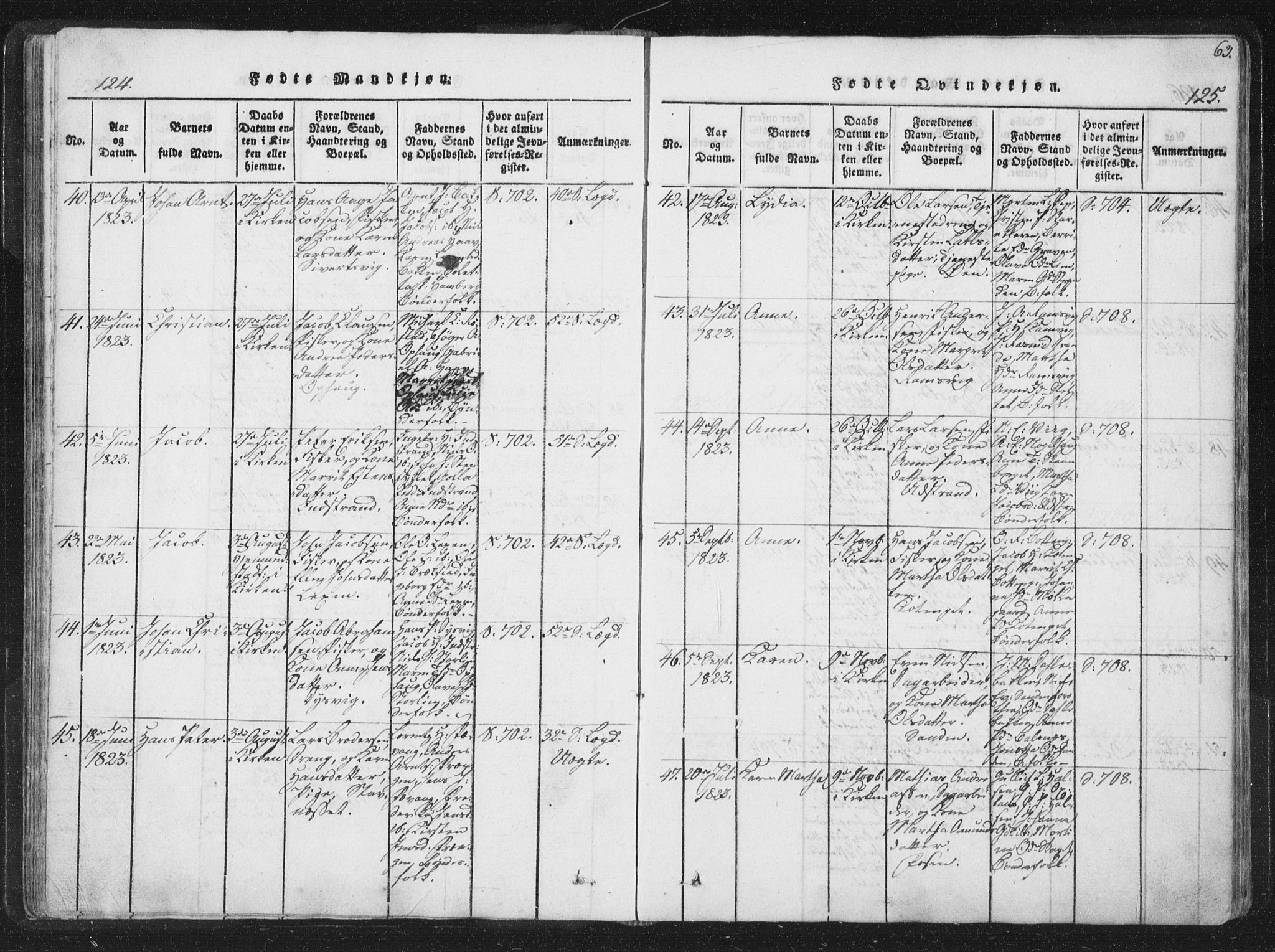 Ministerialprotokoller, klokkerbøker og fødselsregistre - Sør-Trøndelag, SAT/A-1456/659/L0734: Parish register (official) no. 659A04, 1818-1825, p. 124-125