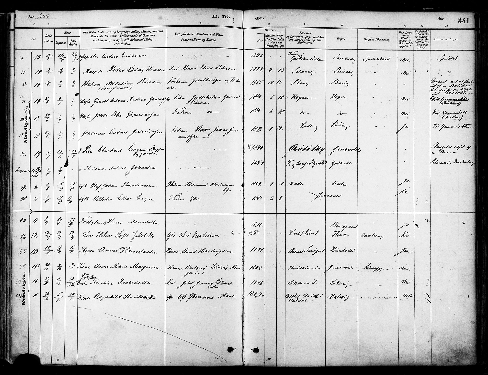 Ministerialprotokoller, klokkerbøker og fødselsregistre - Nordland, SAT/A-1459/802/L0054: Parish register (official) no. 802A01, 1879-1893, p. 341