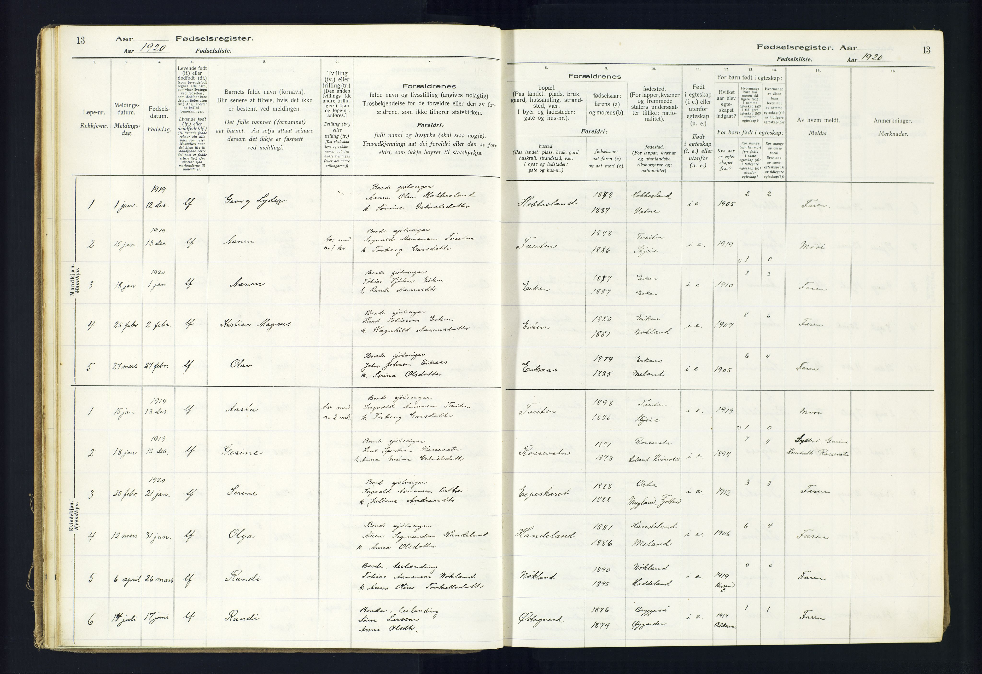 Hægebostad sokneprestkontor, AV/SAK-1111-0024/J/Ja/L0002: Birth register no. II.6.8, 1916-1982, p. 13