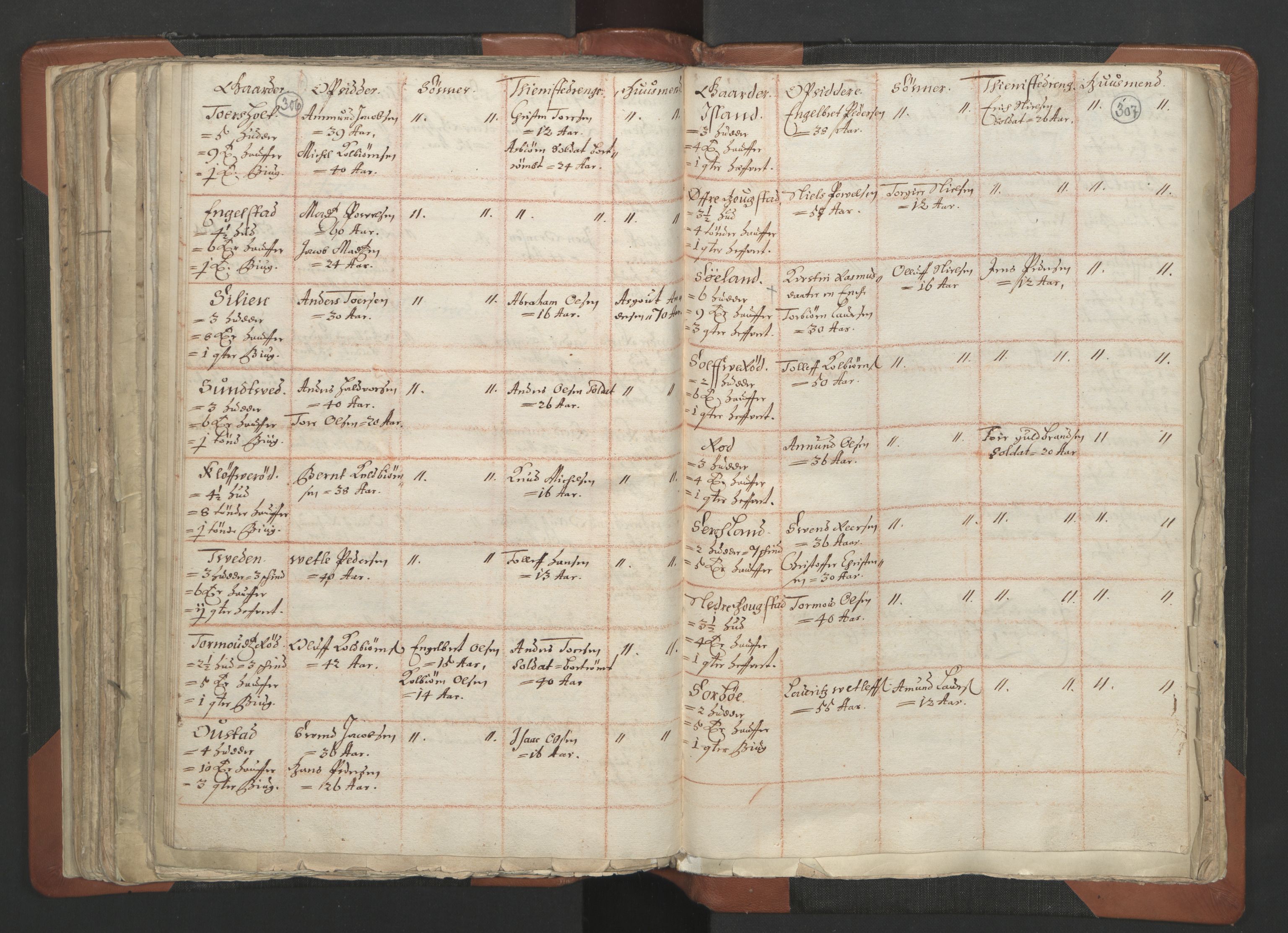 RA, Vicar's Census 1664-1666, no. 12: Øvre Telemark deanery, Nedre Telemark deanery and Bamble deanery, 1664-1666, p. 306-307