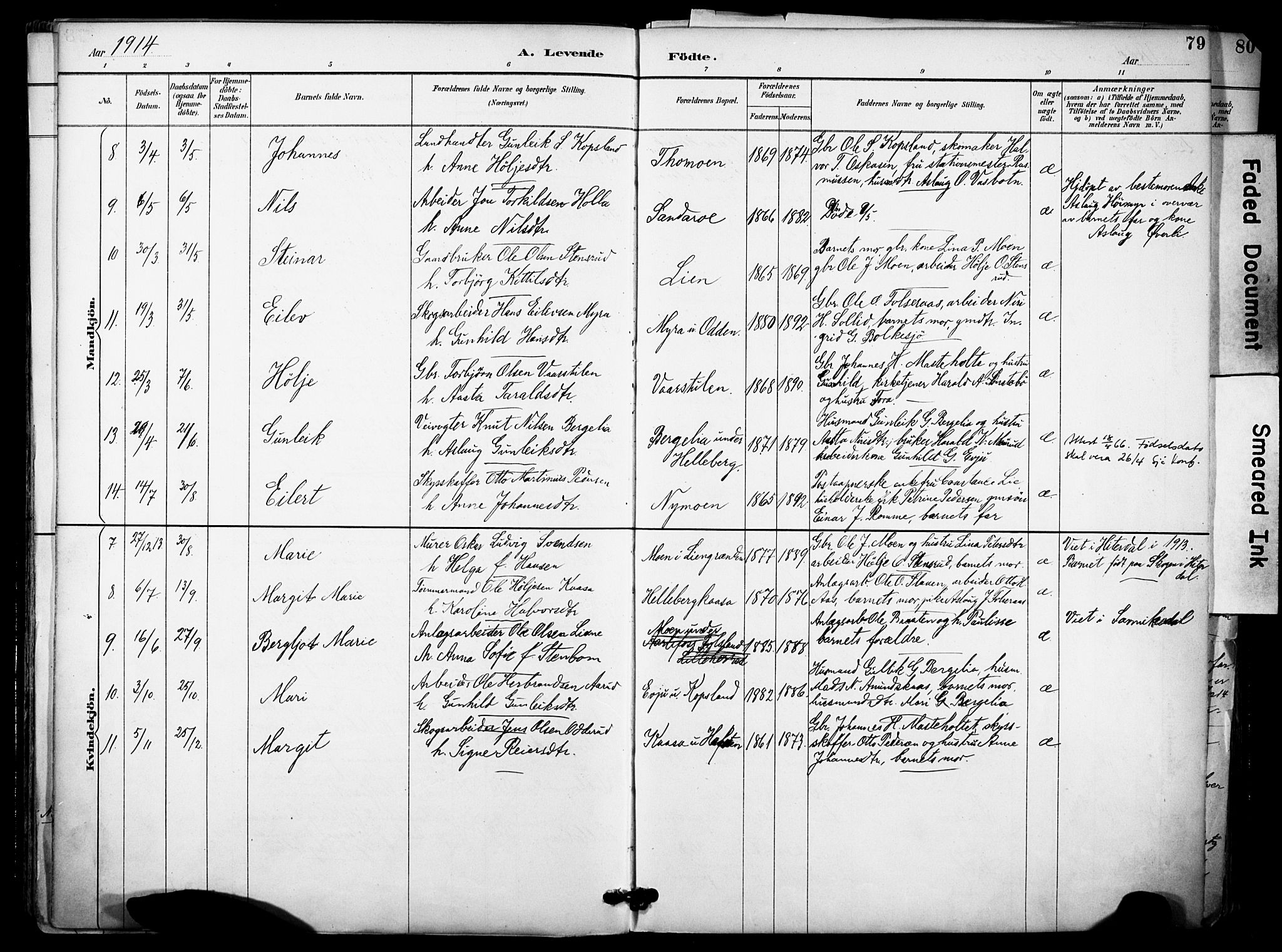 Gransherad kirkebøker, SAKO/A-267/F/Fa/L0005: Parish register (official) no. I 5, 1887-1916, p. 79