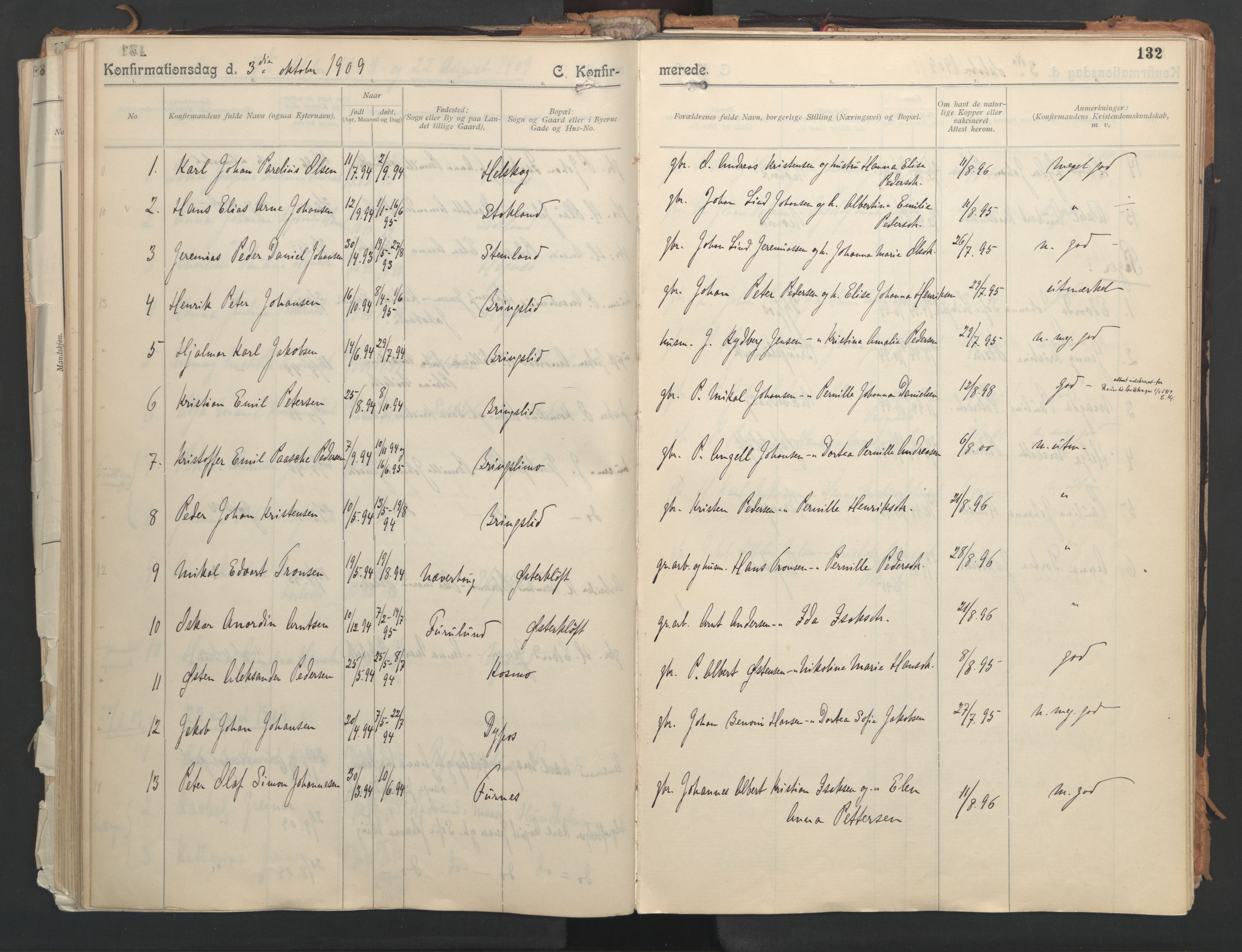 Ministerialprotokoller, klokkerbøker og fødselsregistre - Nordland, AV/SAT-A-1459/851/L0724: Parish register (official) no. 851A01, 1901-1922, p. 132