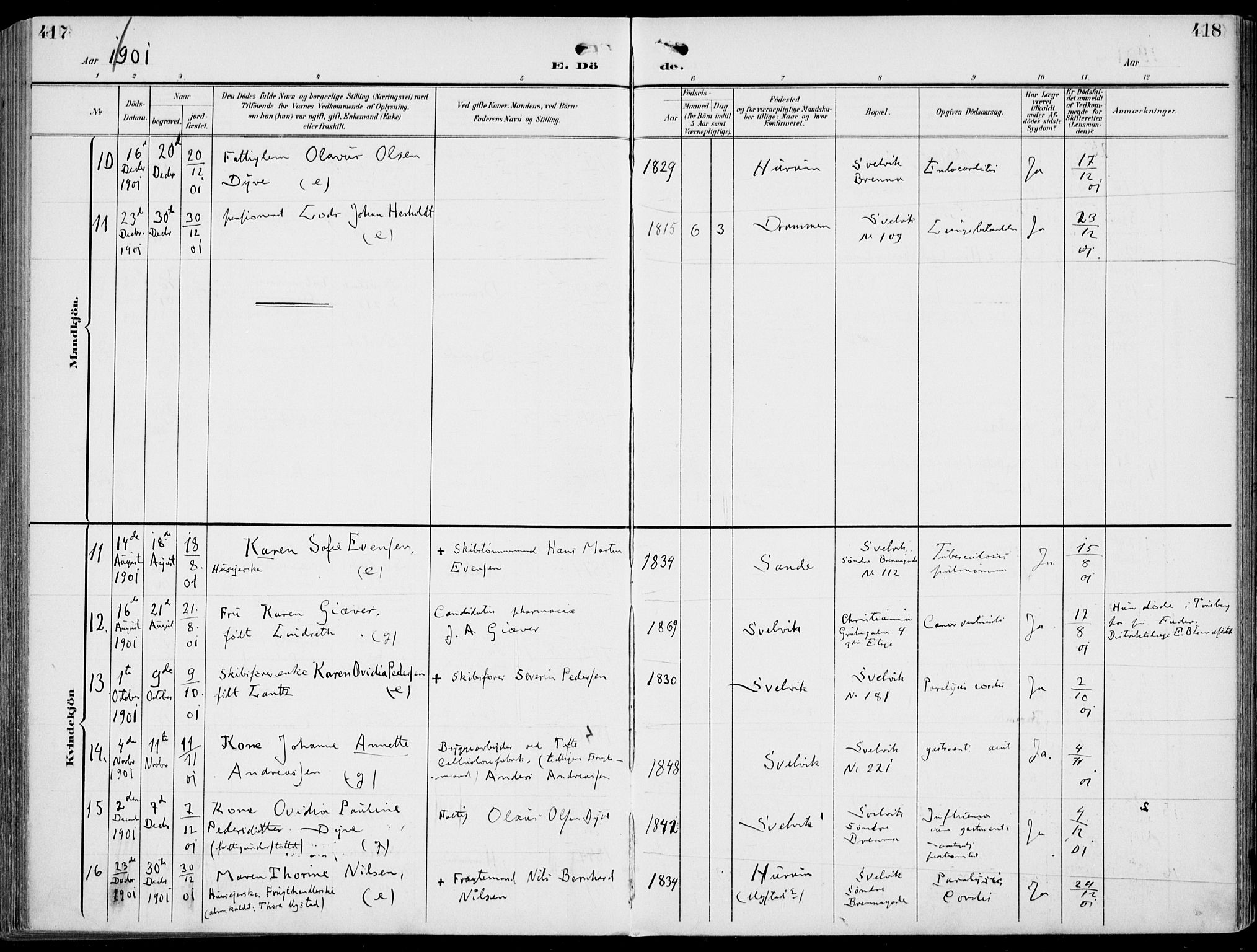 Strømm kirkebøker, AV/SAKO-A-322/F/Fb/L0002: Parish register (official) no. II 2, 1900-1919, p. 417-418