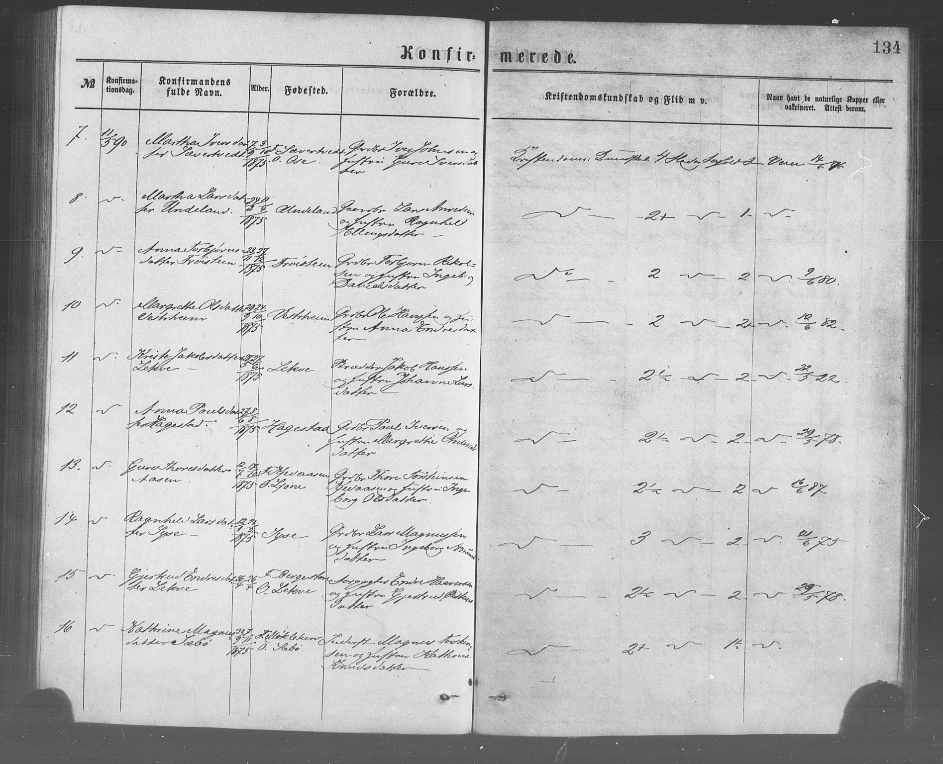 Ulvik sokneprestembete, AV/SAB-A-78801/H/Haa: Parish register (official) no. A 17, 1873-1891, p. 134