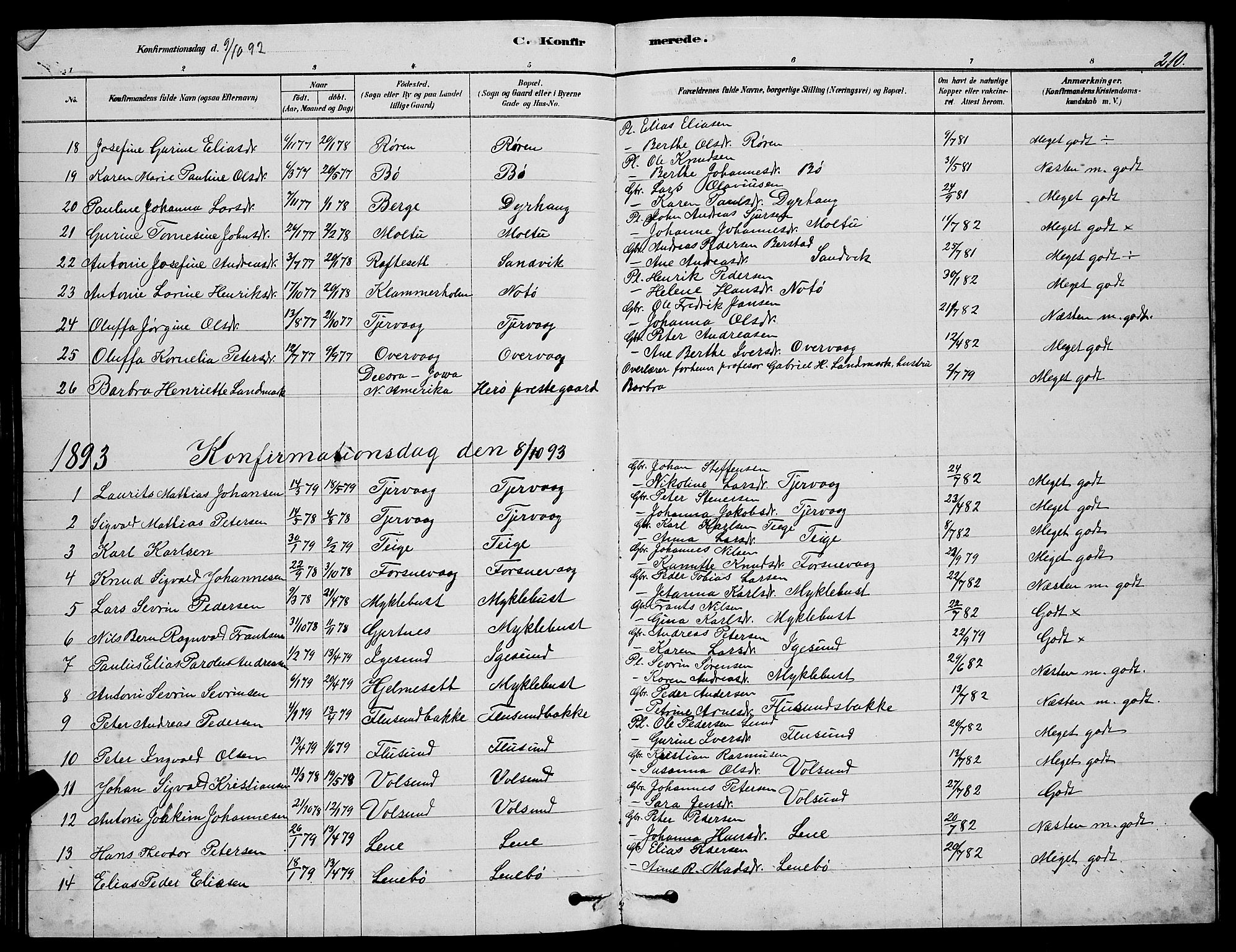 Ministerialprotokoller, klokkerbøker og fødselsregistre - Møre og Romsdal, AV/SAT-A-1454/507/L0081: Parish register (copy) no. 507C04, 1878-1898, p. 210