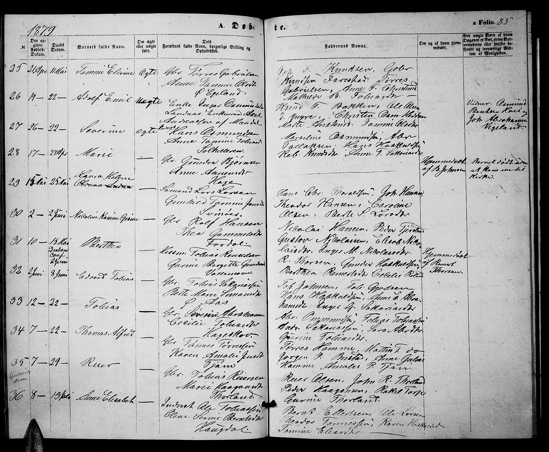 Sør-Audnedal sokneprestkontor, SAK/1111-0039/F/Fb/Fbb/L0004: Parish register (copy) no. B 4, 1868-1879, p. 85