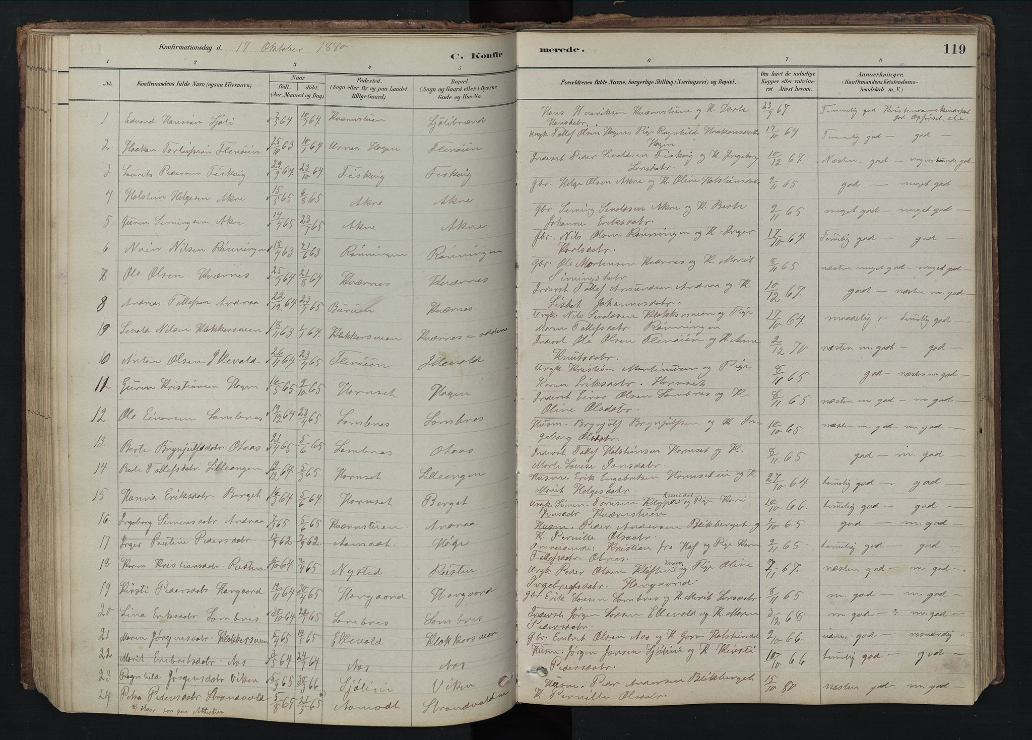 Rendalen prestekontor, SAH/PREST-054/H/Ha/Hab/L0009: Parish register (copy) no. 9, 1879-1902, p. 119