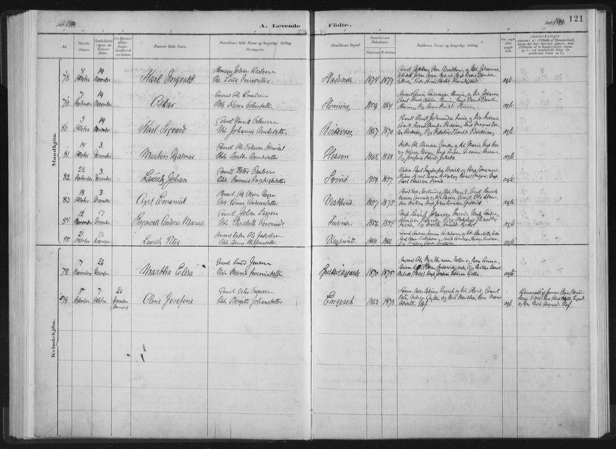 Ministerialprotokoller, klokkerbøker og fødselsregistre - Møre og Romsdal, AV/SAT-A-1454/528/L0405: Parish register (official) no. 528A14, 1891-1906, p. 121