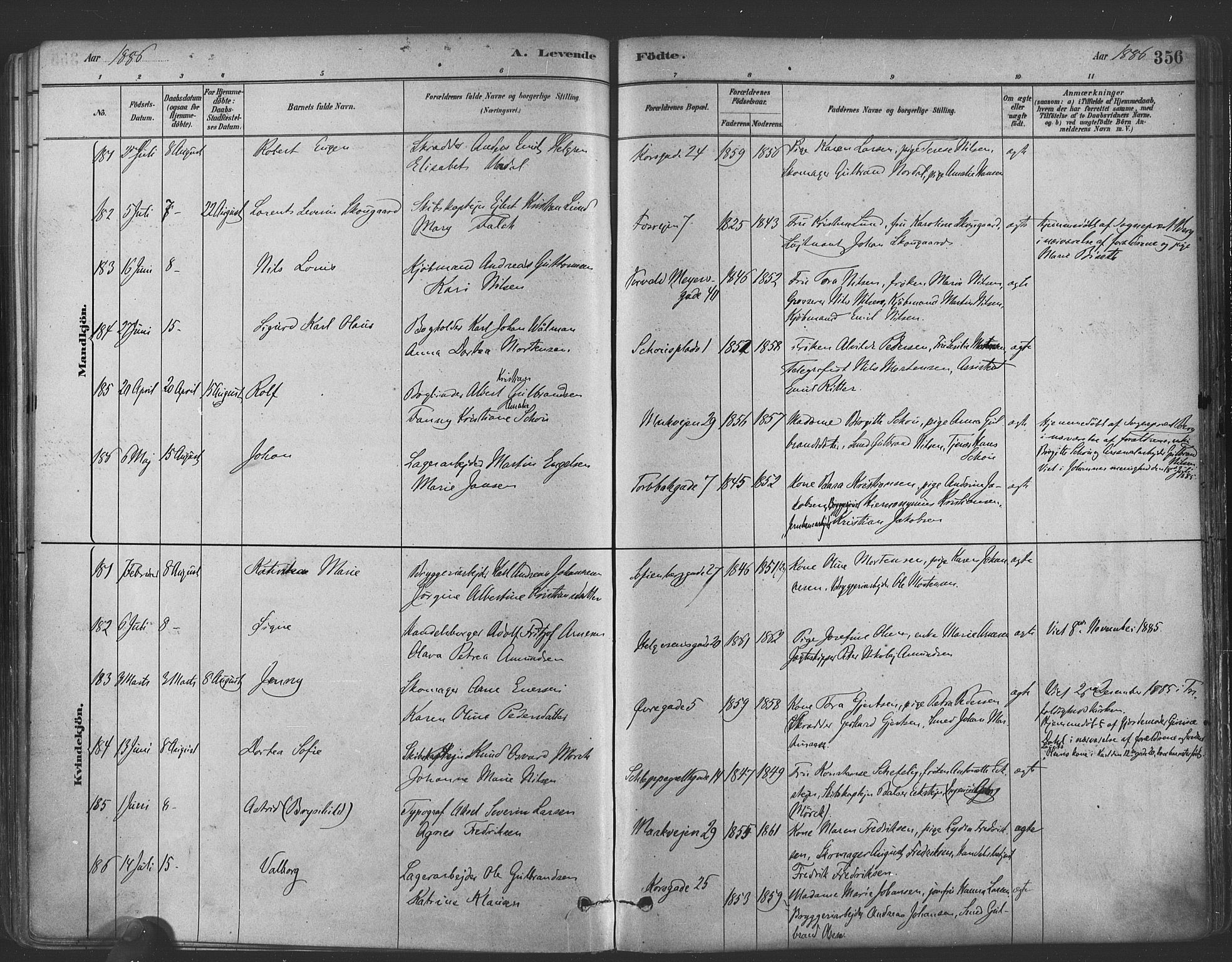 Paulus prestekontor Kirkebøker, SAO/A-10871/F/Fa/L0003: Parish register (official) no. 3, 1879-1887, p. 356