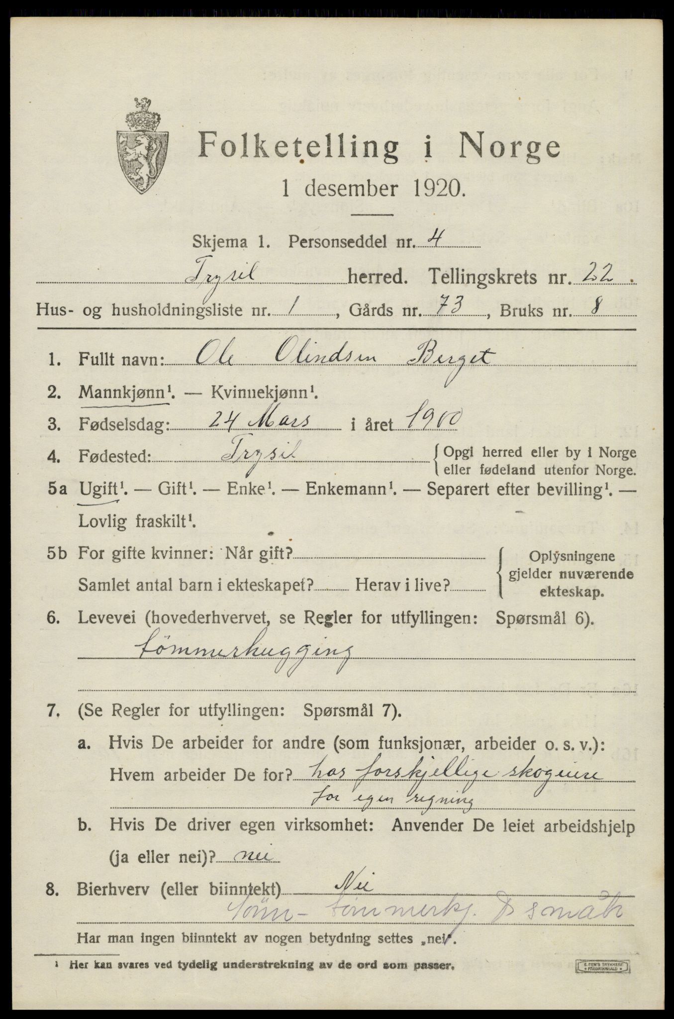 SAH, 1920 census for Trysil, 1920, p. 14569