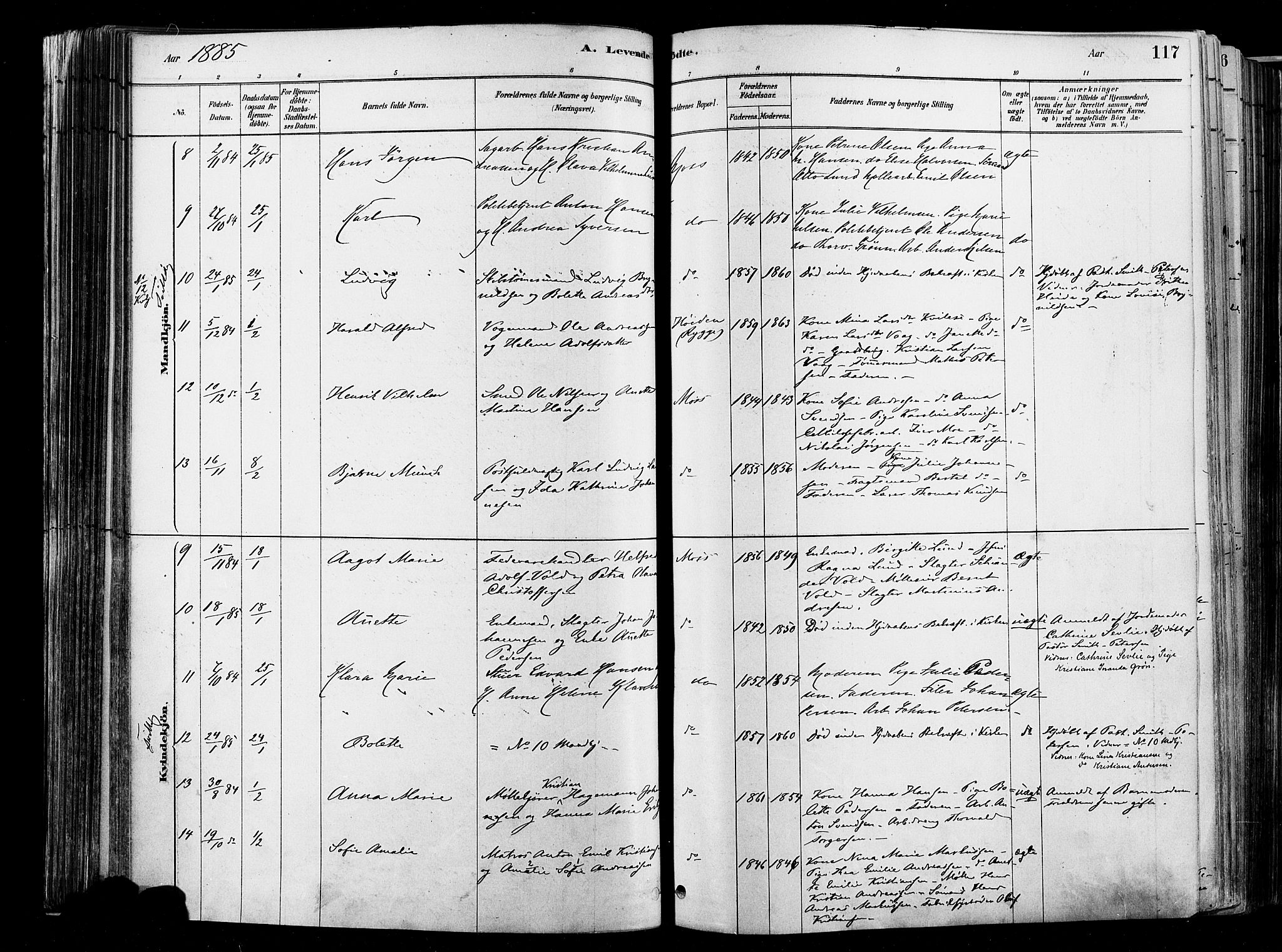 Moss prestekontor Kirkebøker, AV/SAO-A-2003/F/Fb/L0001: Parish register (official) no. II 1, 1878-1886, p. 117