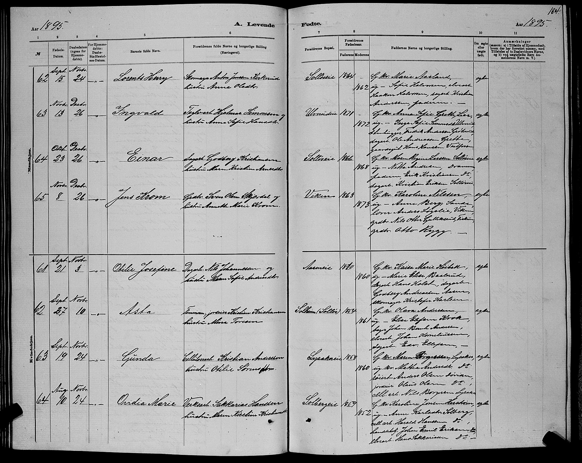 Nedre Eiker kirkebøker, AV/SAKO-A-612/G/Ga/L0002: Parish register (copy) no. 2, 1880-1896, p. 184