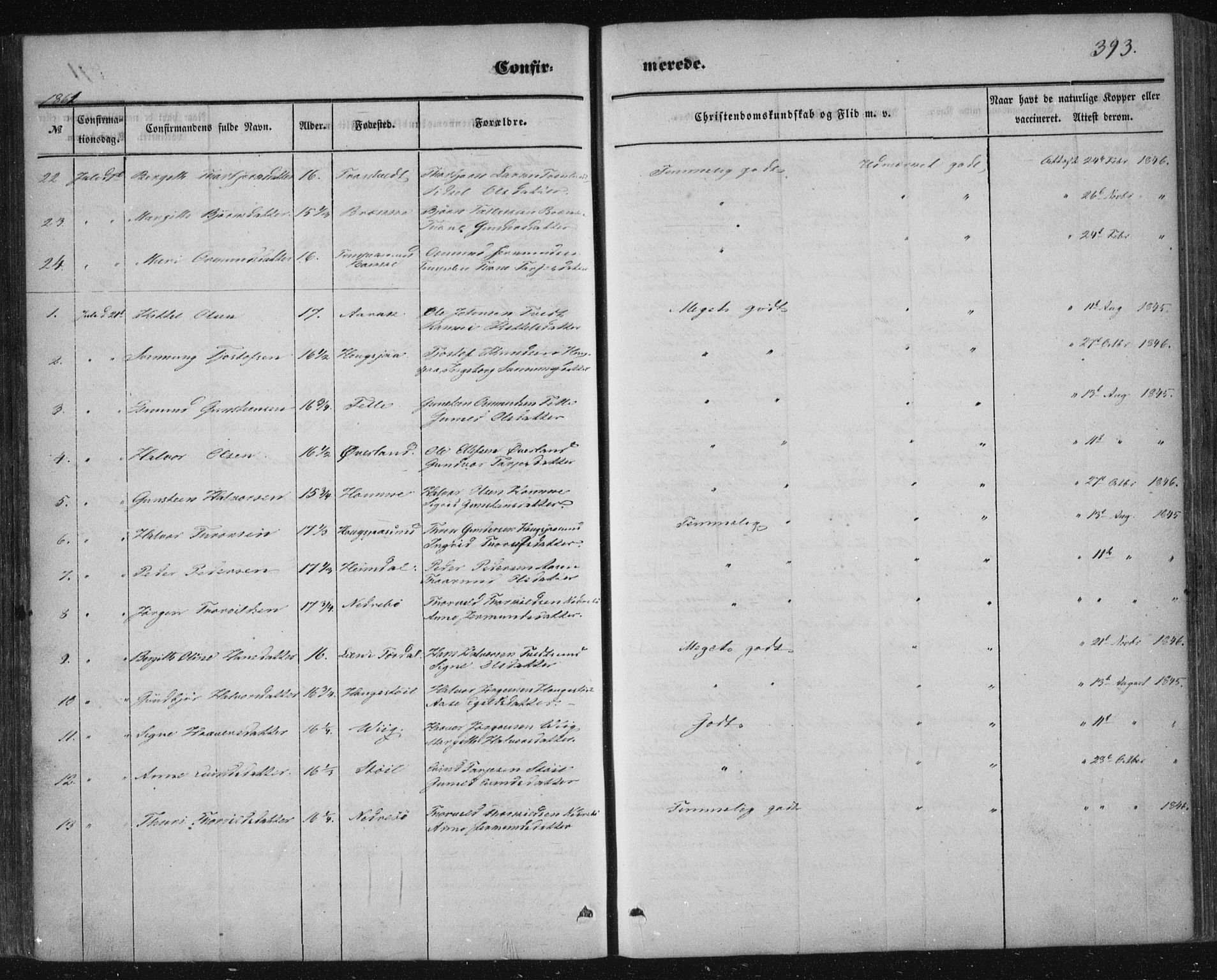 Nissedal kirkebøker, AV/SAKO-A-288/F/Fa/L0003: Parish register (official) no. I 3, 1846-1870, p. 392-393