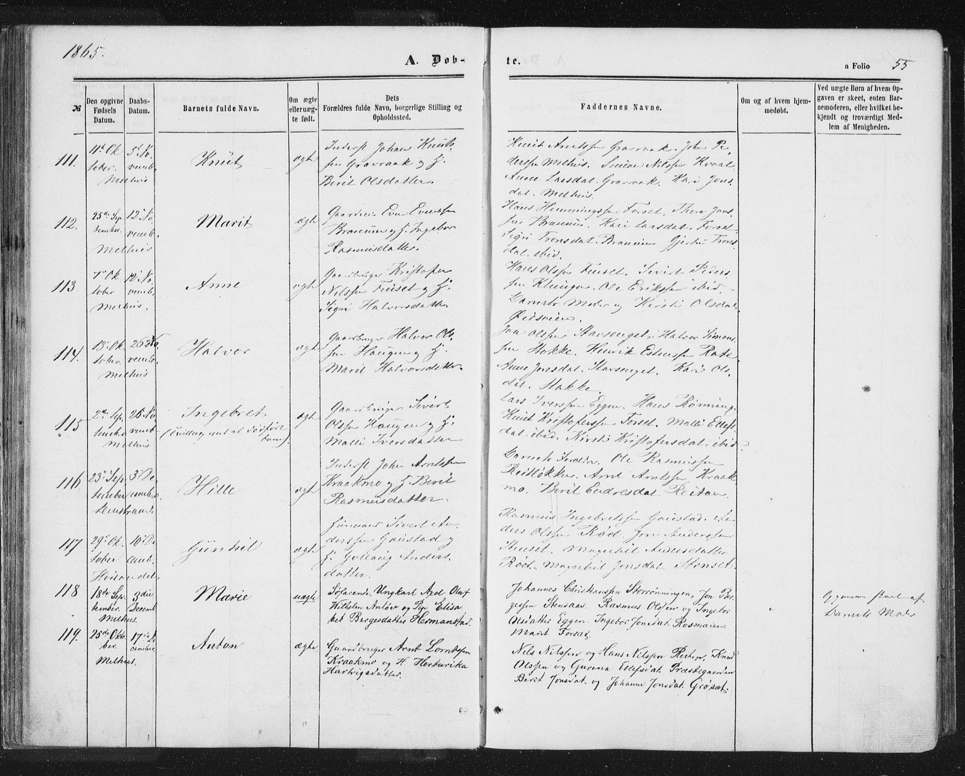 Ministerialprotokoller, klokkerbøker og fødselsregistre - Sør-Trøndelag, SAT/A-1456/691/L1077: Parish register (official) no. 691A09, 1862-1873, p. 55