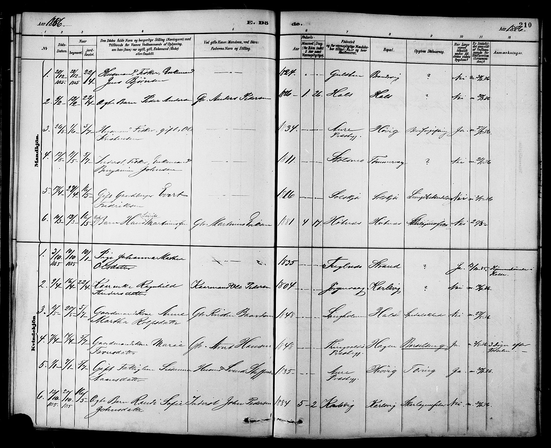 Ministerialprotokoller, klokkerbøker og fødselsregistre - Møre og Romsdal, AV/SAT-A-1454/577/L0896: Parish register (official) no. 577A03, 1880-1898, p. 210