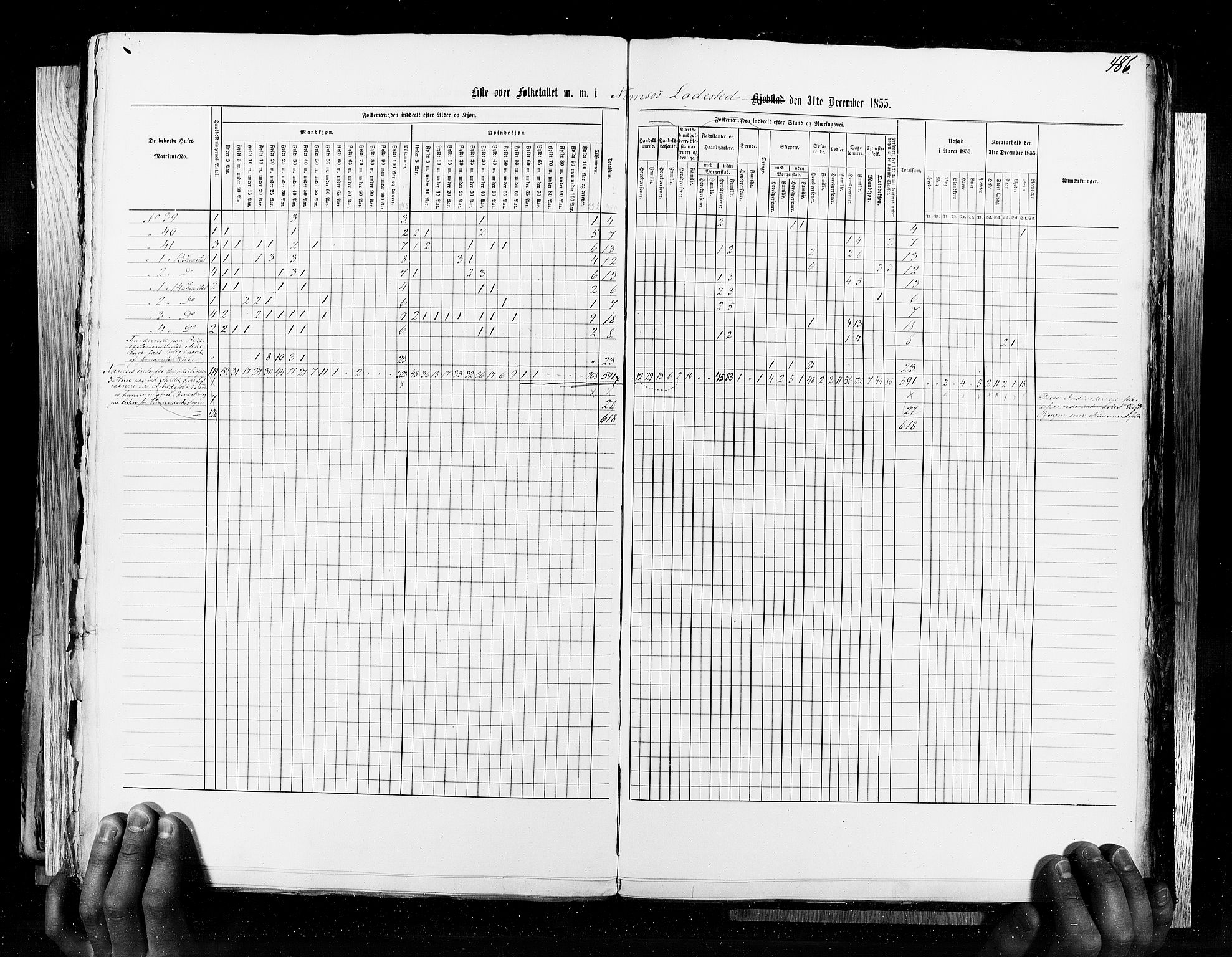 RA, Census 1855, vol. 8: Risør-Vadsø, 1855, p. 486