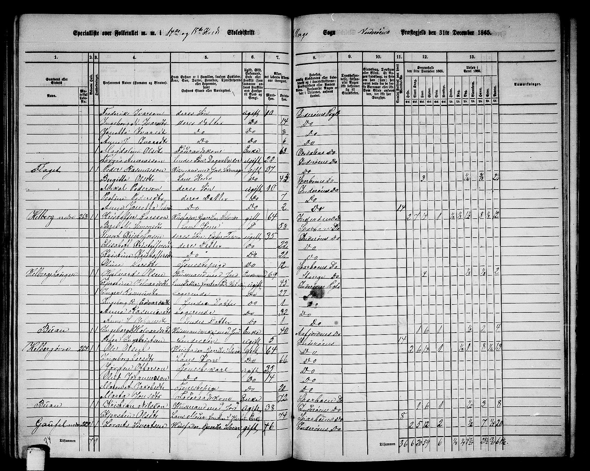 RA, 1865 census for Inderøy, 1865, p. 197