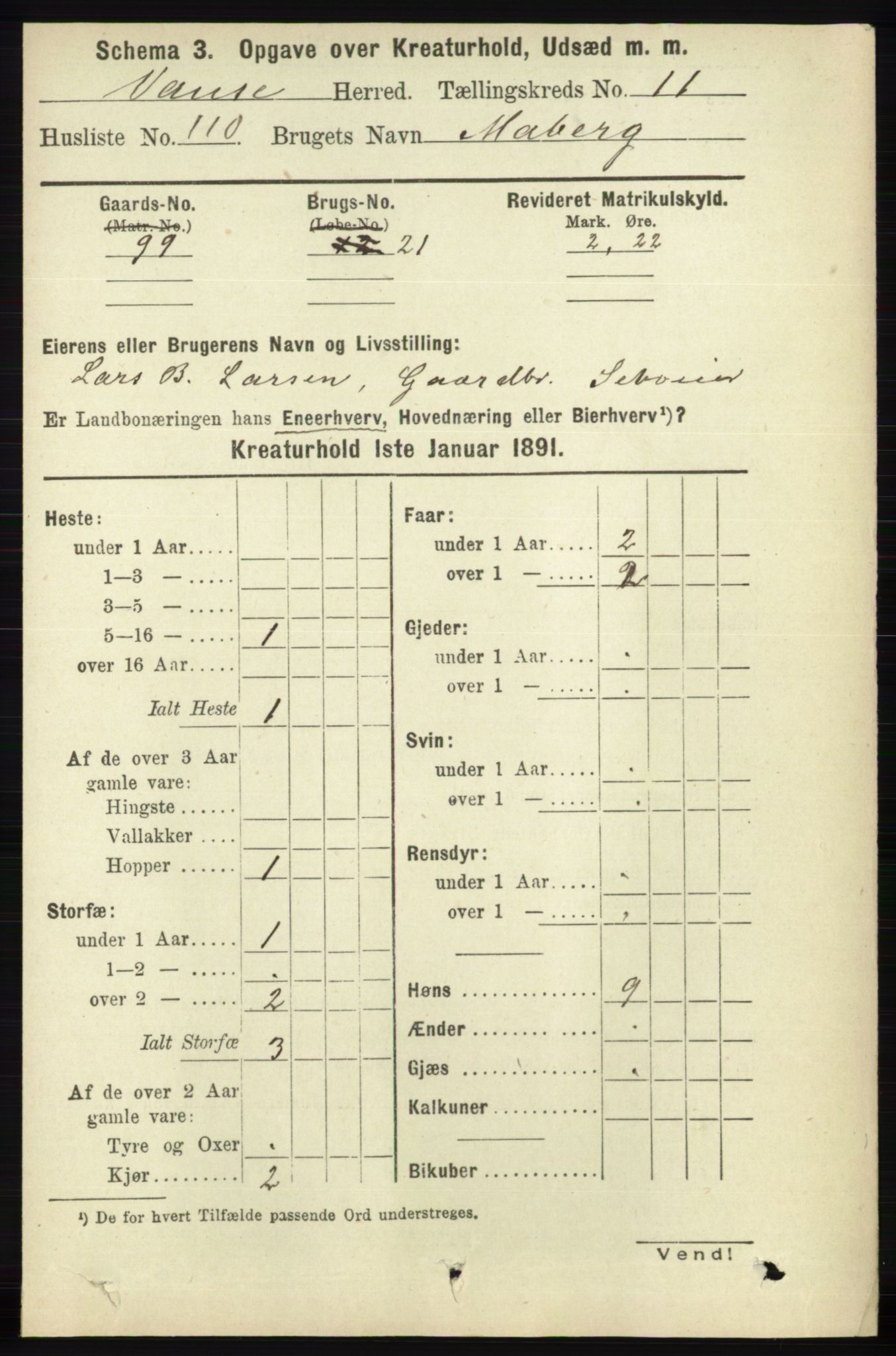 RA, 1891 census for 1041 Vanse, 1891, p. 10089