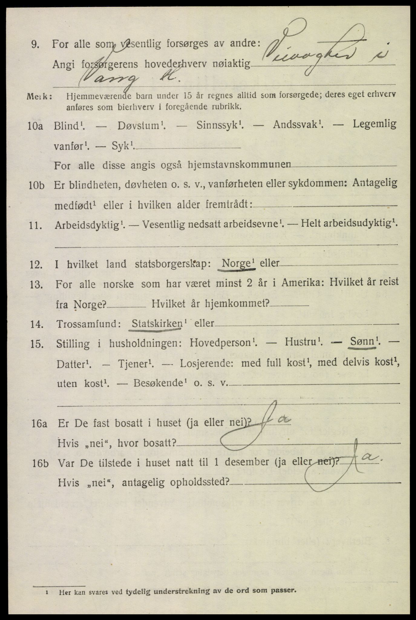 SAH, 1920 census for Vang (Hedmark), 1920, p. 14720