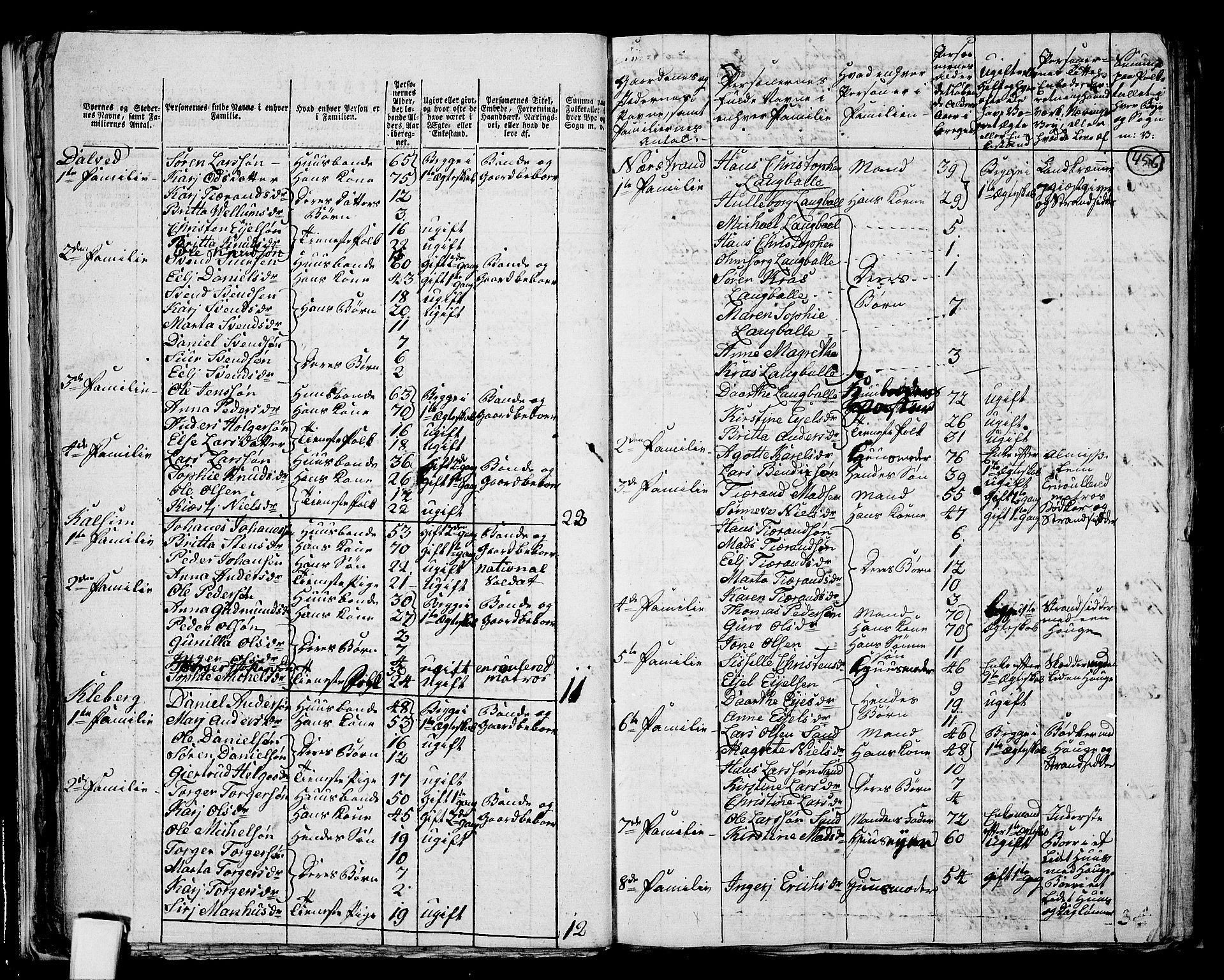 RA, 1801 census for 1139P Nedstrand, 1801, p. 455b-456a