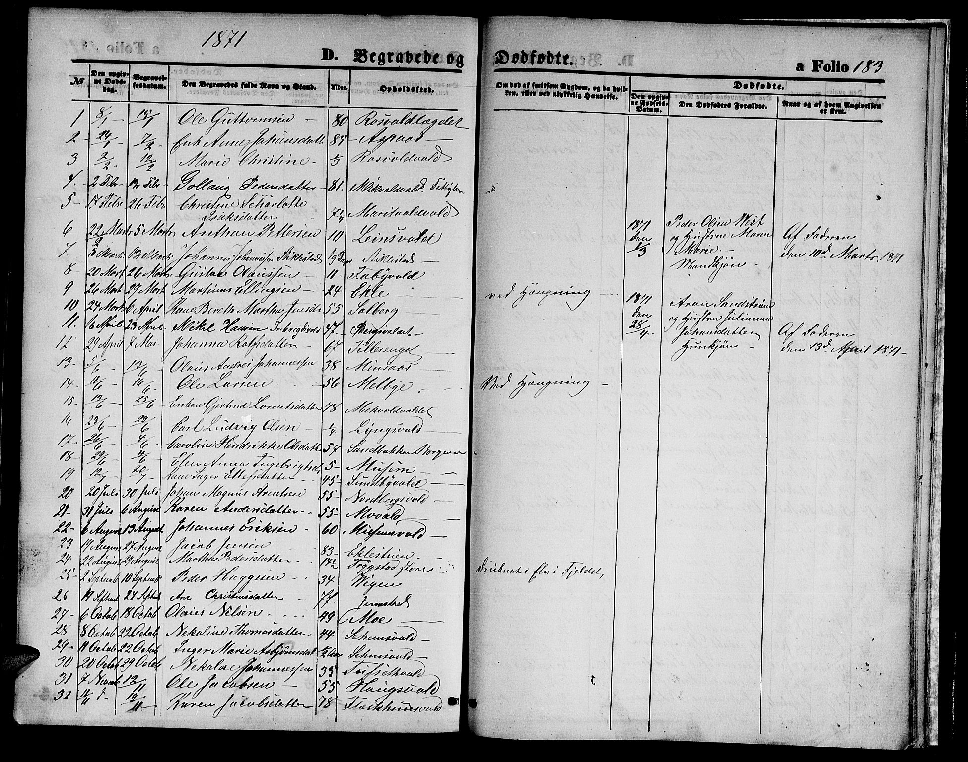Ministerialprotokoller, klokkerbøker og fødselsregistre - Nord-Trøndelag, SAT/A-1458/723/L0255: Parish register (copy) no. 723C03, 1869-1879, p. 183