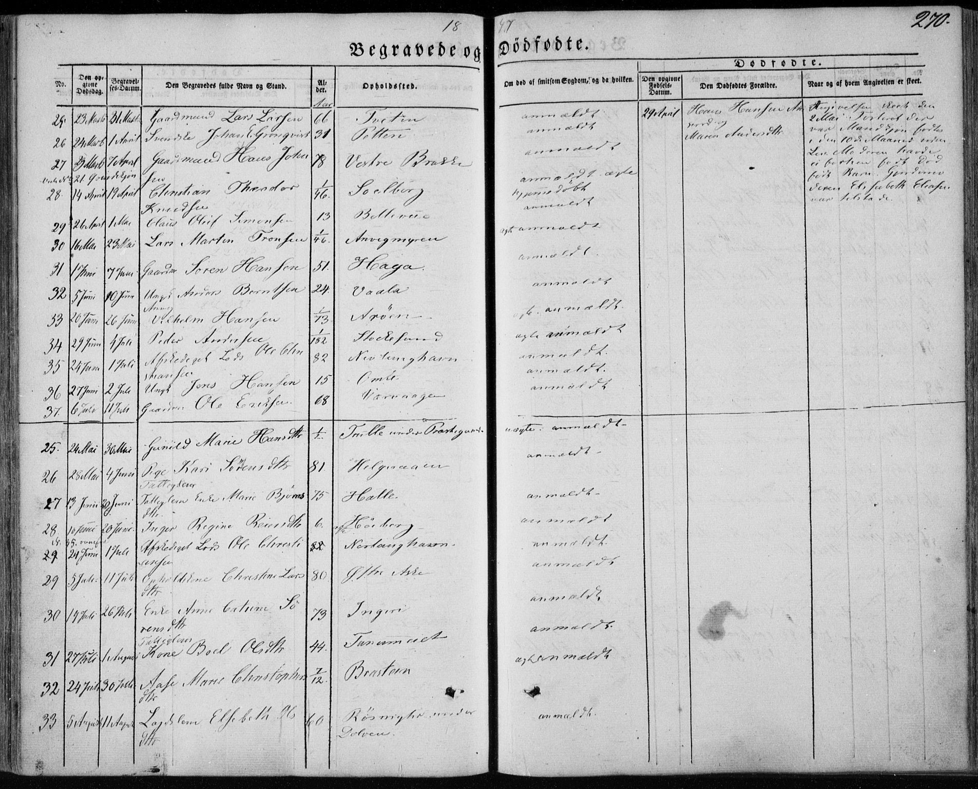 Brunlanes kirkebøker, AV/SAKO-A-342/F/Fa/L0004: Parish register (official) no. I 4, 1846-1862, p. 270