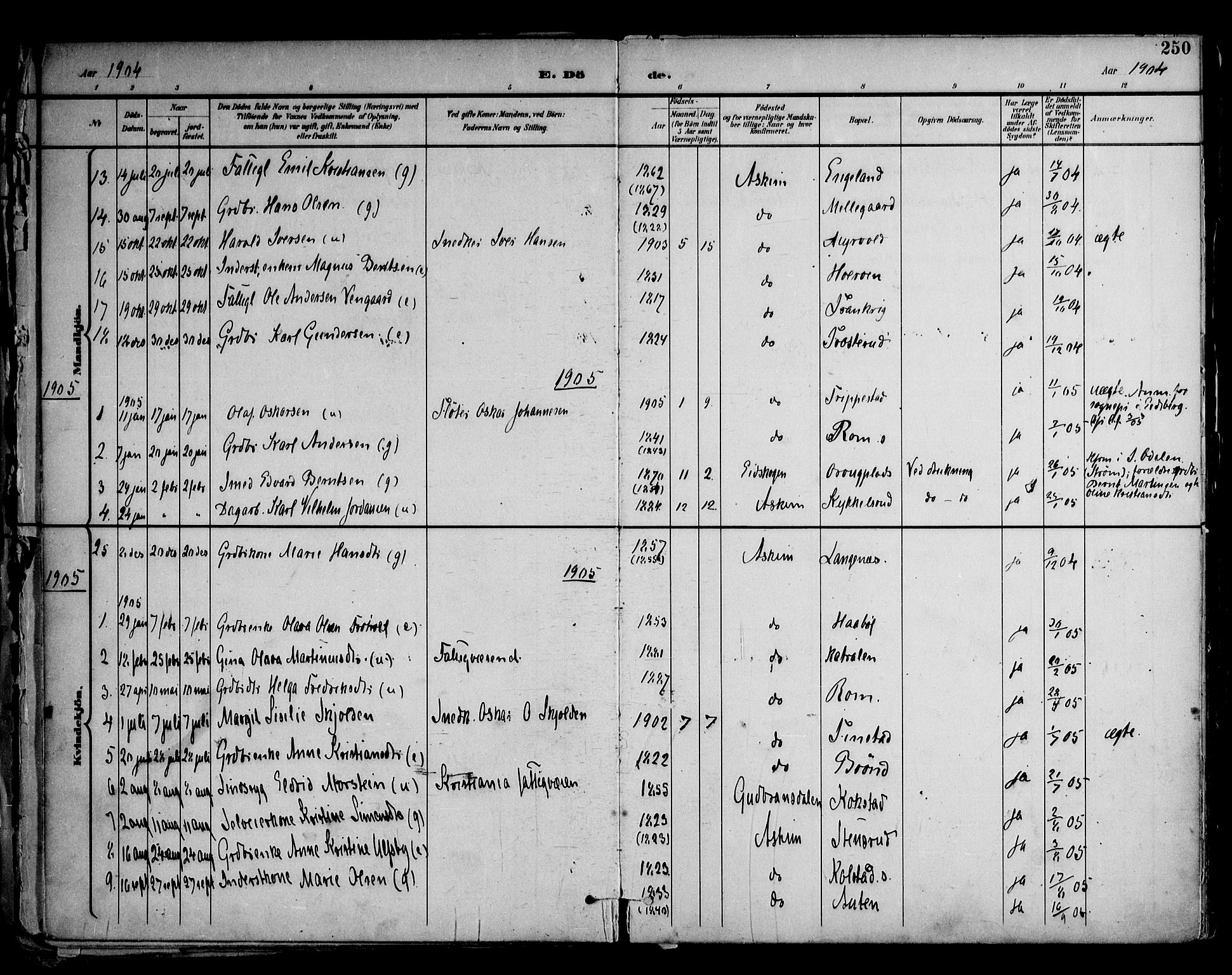 Askim prestekontor Kirkebøker, AV/SAO-A-10900/F/Fa/L0008: Parish register (official) no. 8, 1898-1912, p. 250