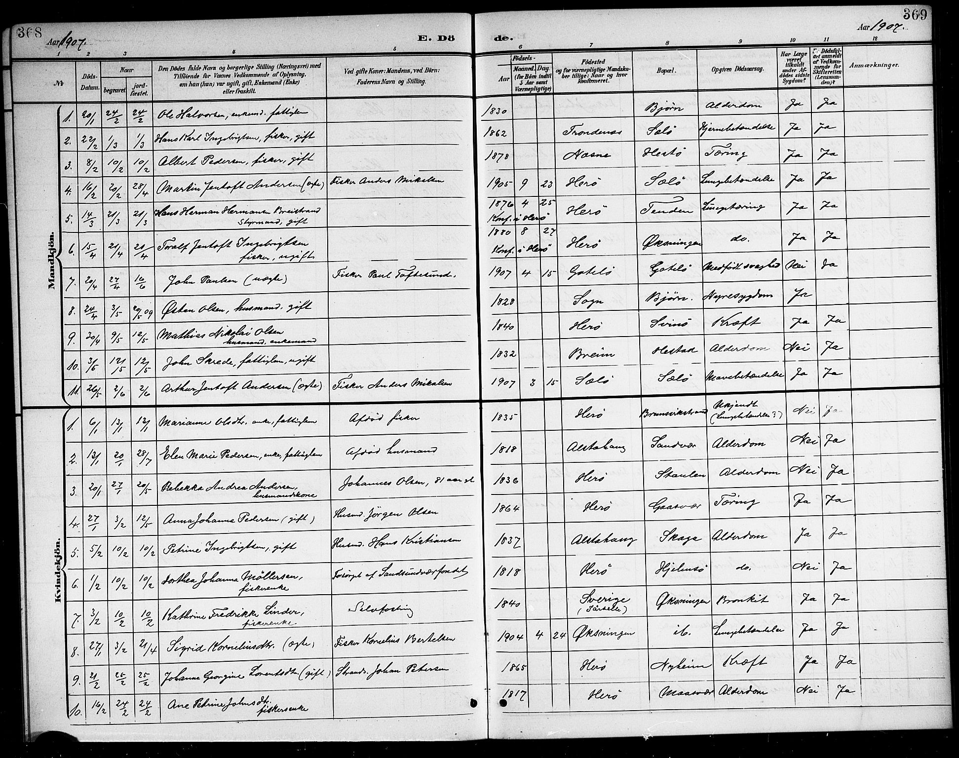 Ministerialprotokoller, klokkerbøker og fødselsregistre - Nordland, SAT/A-1459/834/L0516: Parish register (copy) no. 834C06, 1902-1918, p. 368-369