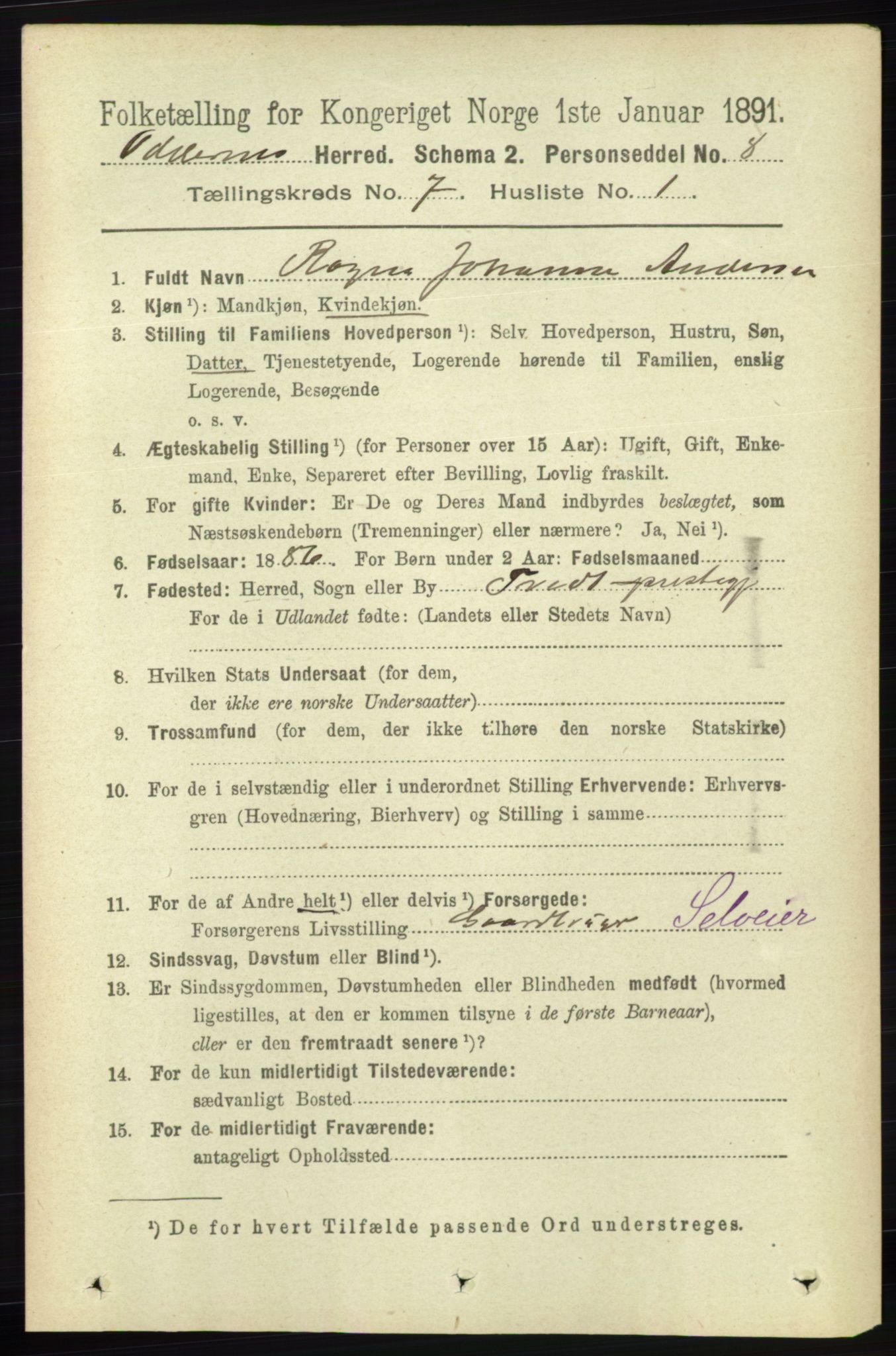 RA, 1891 census for 1012 Oddernes, 1891, p. 2484