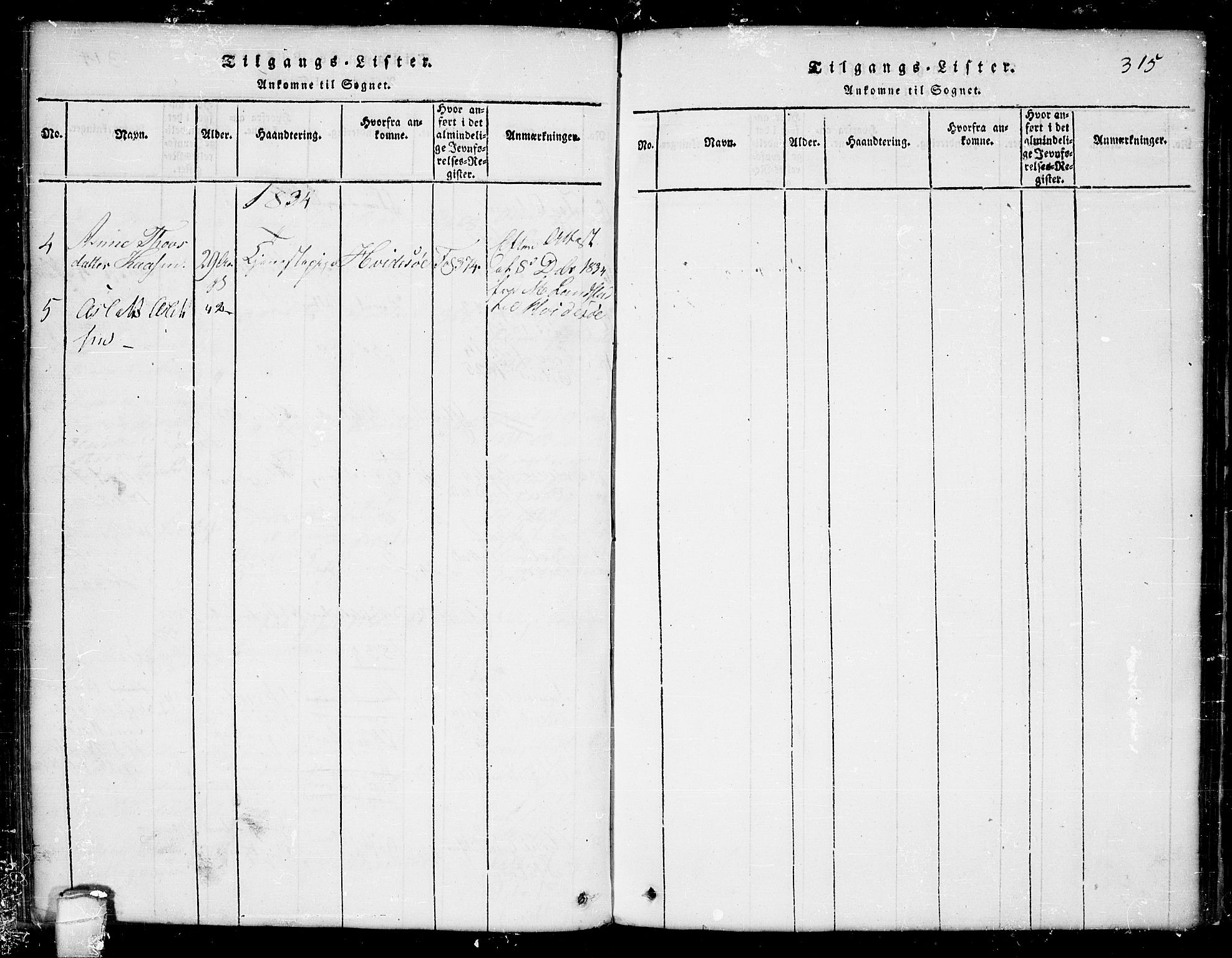 Seljord kirkebøker, AV/SAKO-A-20/G/Ga/L0001: Parish register (copy) no. I 1, 1815-1854, p. 315