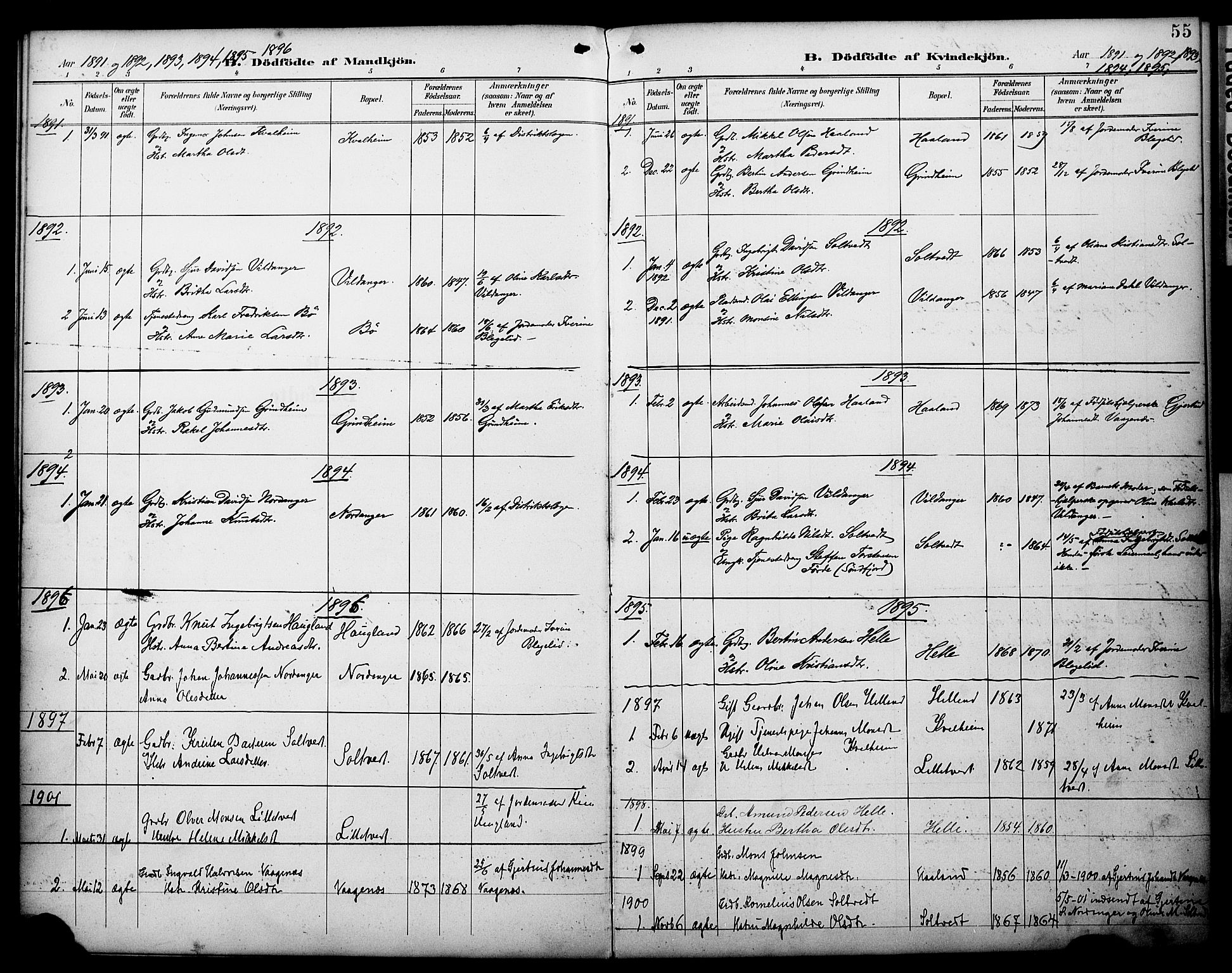 Manger sokneprestembete, AV/SAB-A-76801/H/Haa: Parish register (official) no. C 2, 1891-1902, p. 55