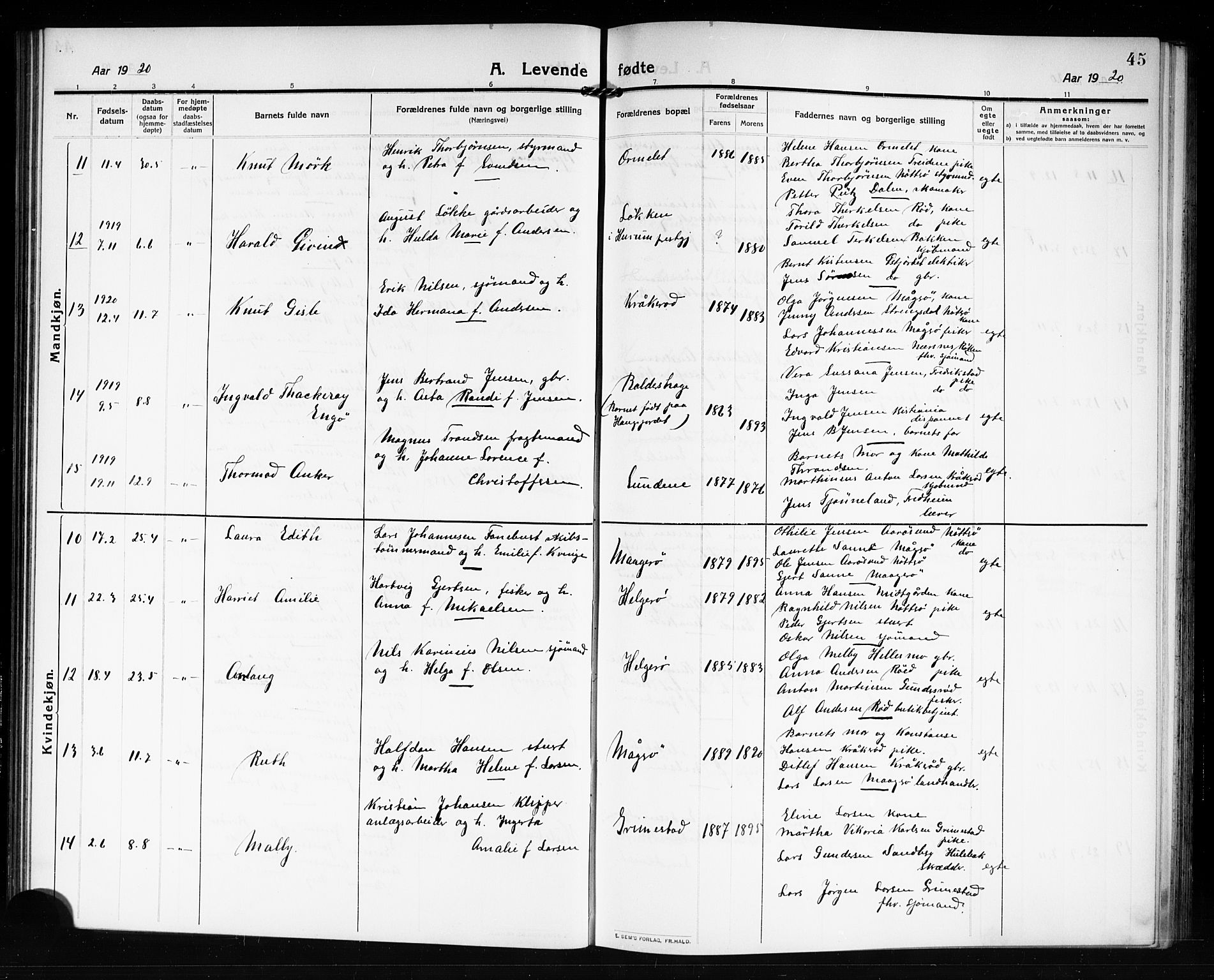 Tjøme kirkebøker, AV/SAKO-A-328/G/Ga/L0002: Parish register (copy) no. I 2, 1911-1920, p. 45