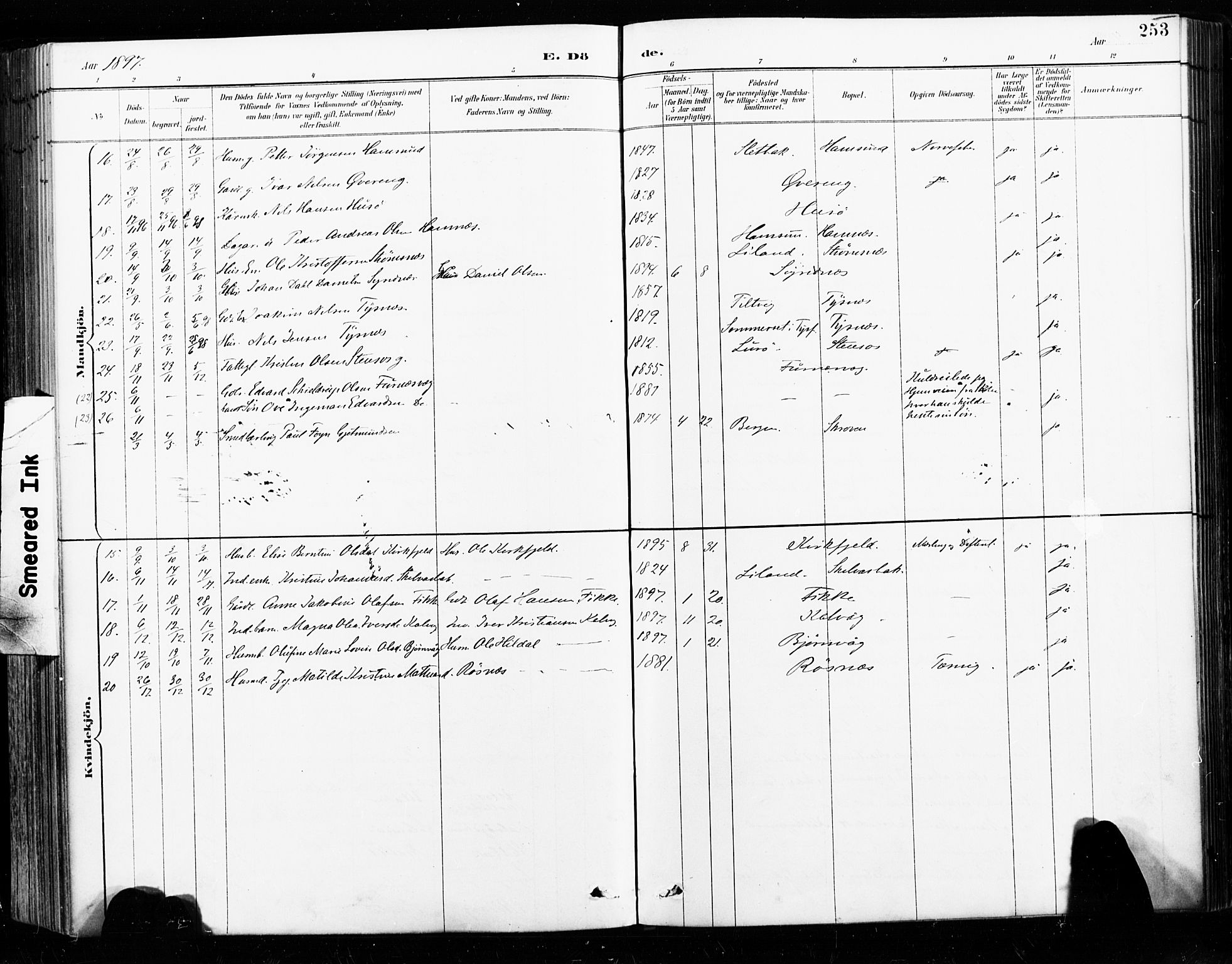 Ministerialprotokoller, klokkerbøker og fødselsregistre - Nordland, AV/SAT-A-1459/859/L0847: Parish register (official) no. 859A07, 1890-1899, p. 253