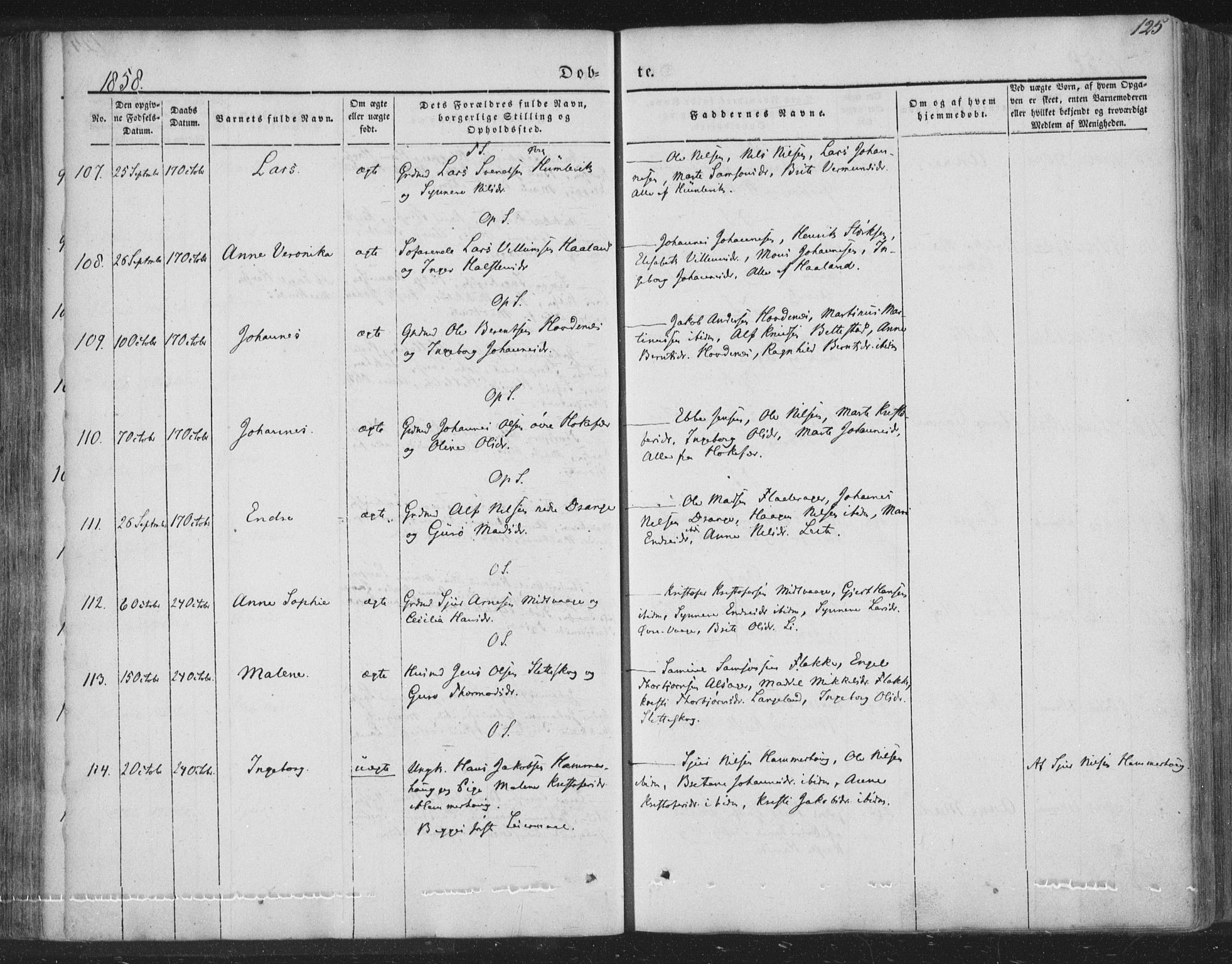 Tysnes sokneprestembete, AV/SAB-A-78601/H/Haa: Parish register (official) no. A 10, 1848-1859, p. 125