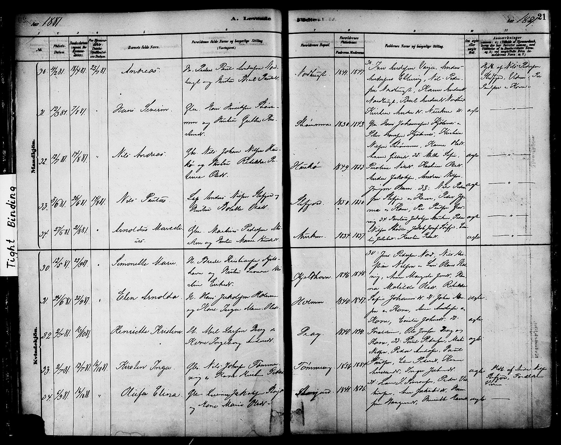 Ministerialprotokoller, klokkerbøker og fødselsregistre - Nordland, AV/SAT-A-1459/861/L0868: Parish register (official) no. 861A03, 1879-1889, p. 21